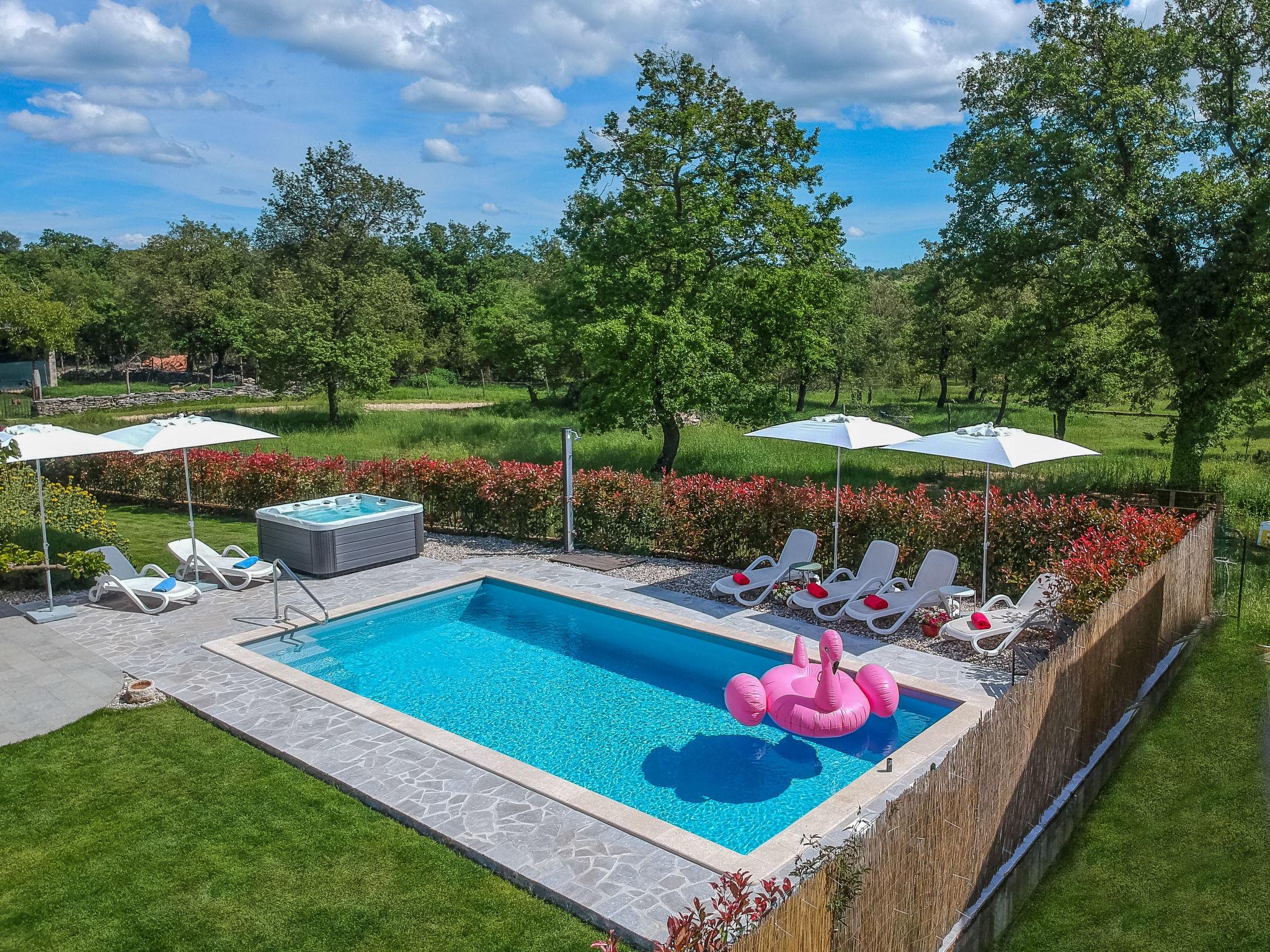 Foto 2 - Casa de 3 quartos em Sveti Lovreč com piscina privada e vistas do mar