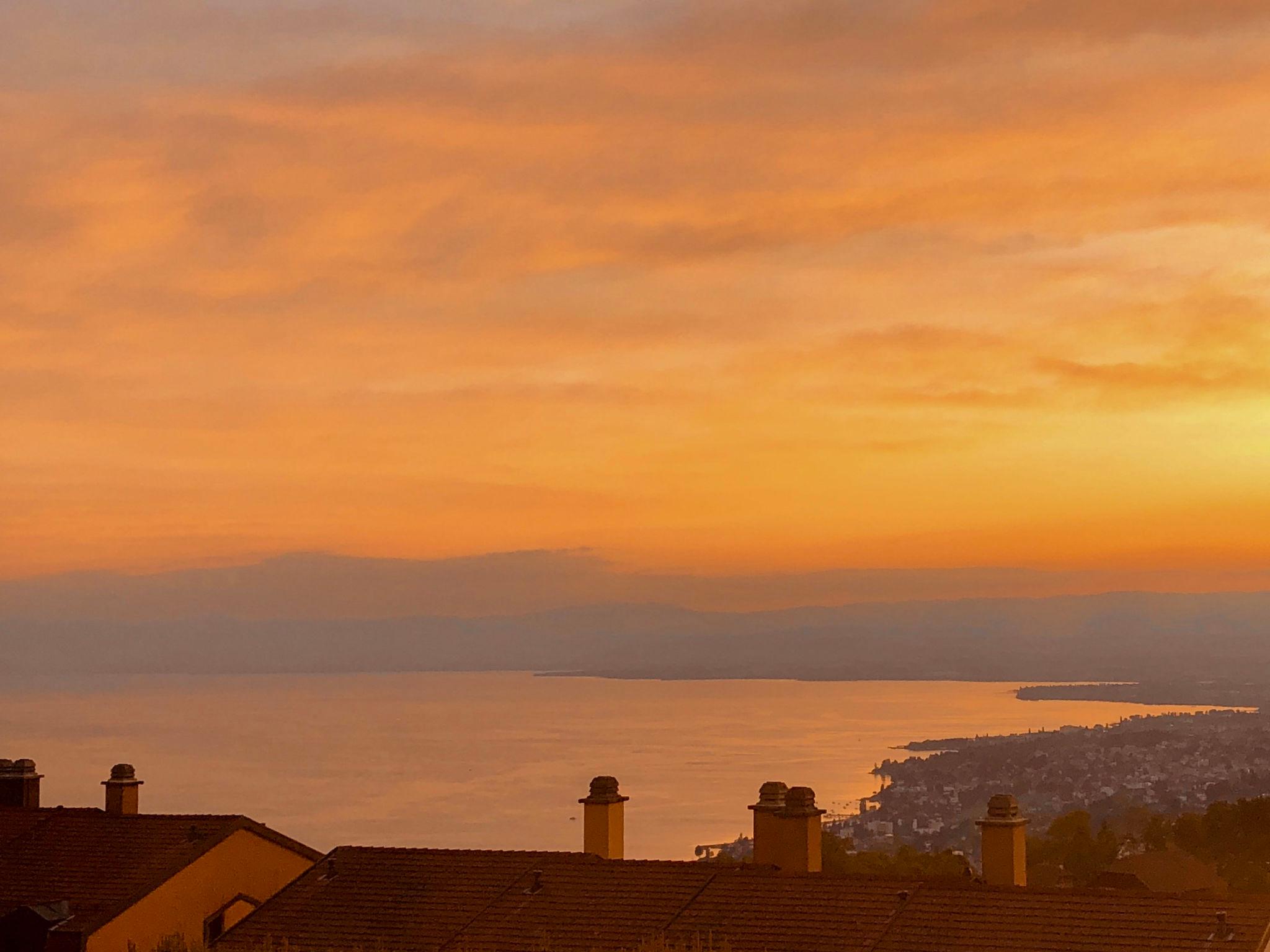 Photo 23 - Maison de 3 chambres à Bourg-en-Lavaux avec jardin et terrasse