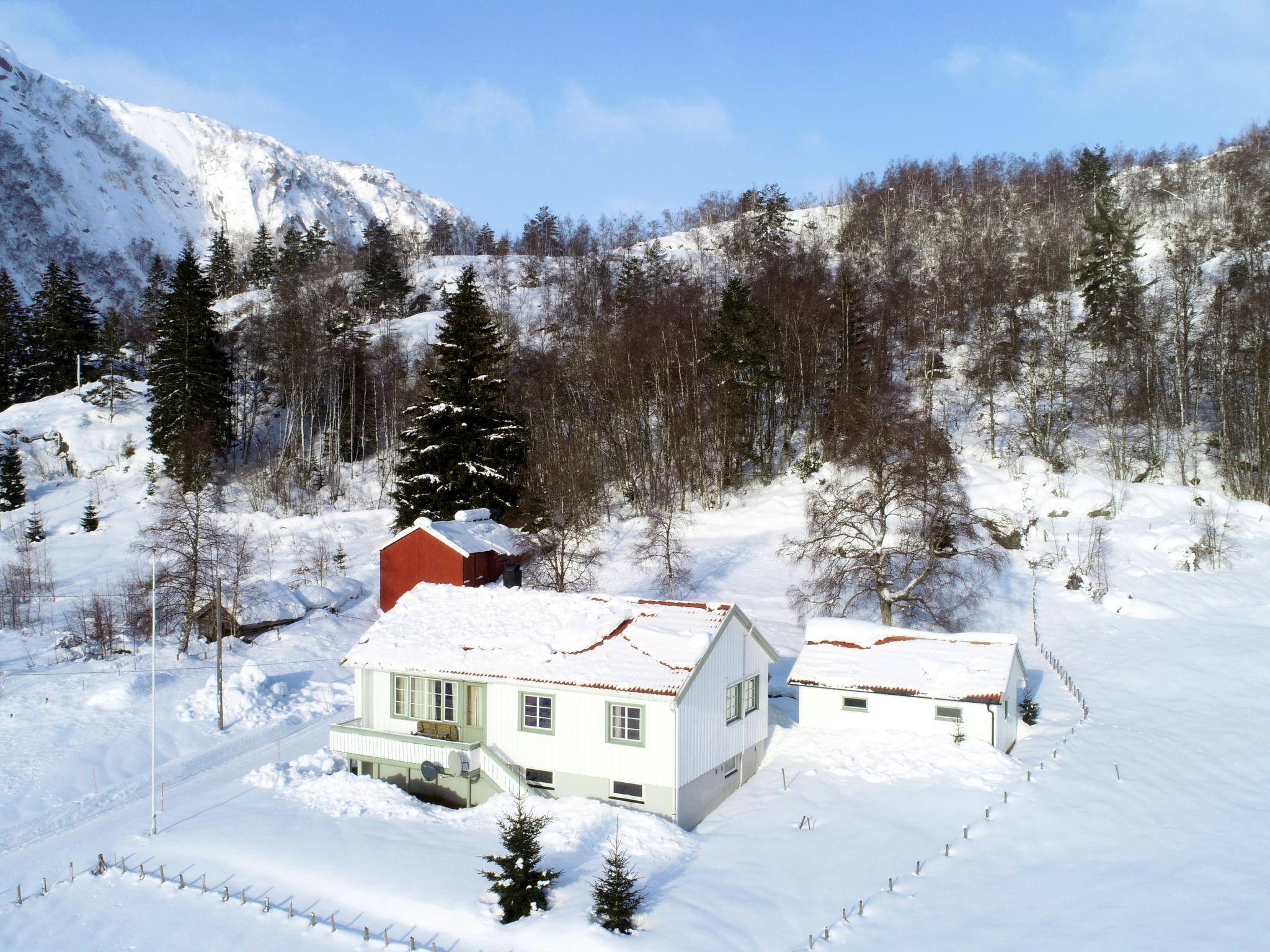 Photo 22 - Maison de 3 chambres à Åseral avec jardin et terrasse