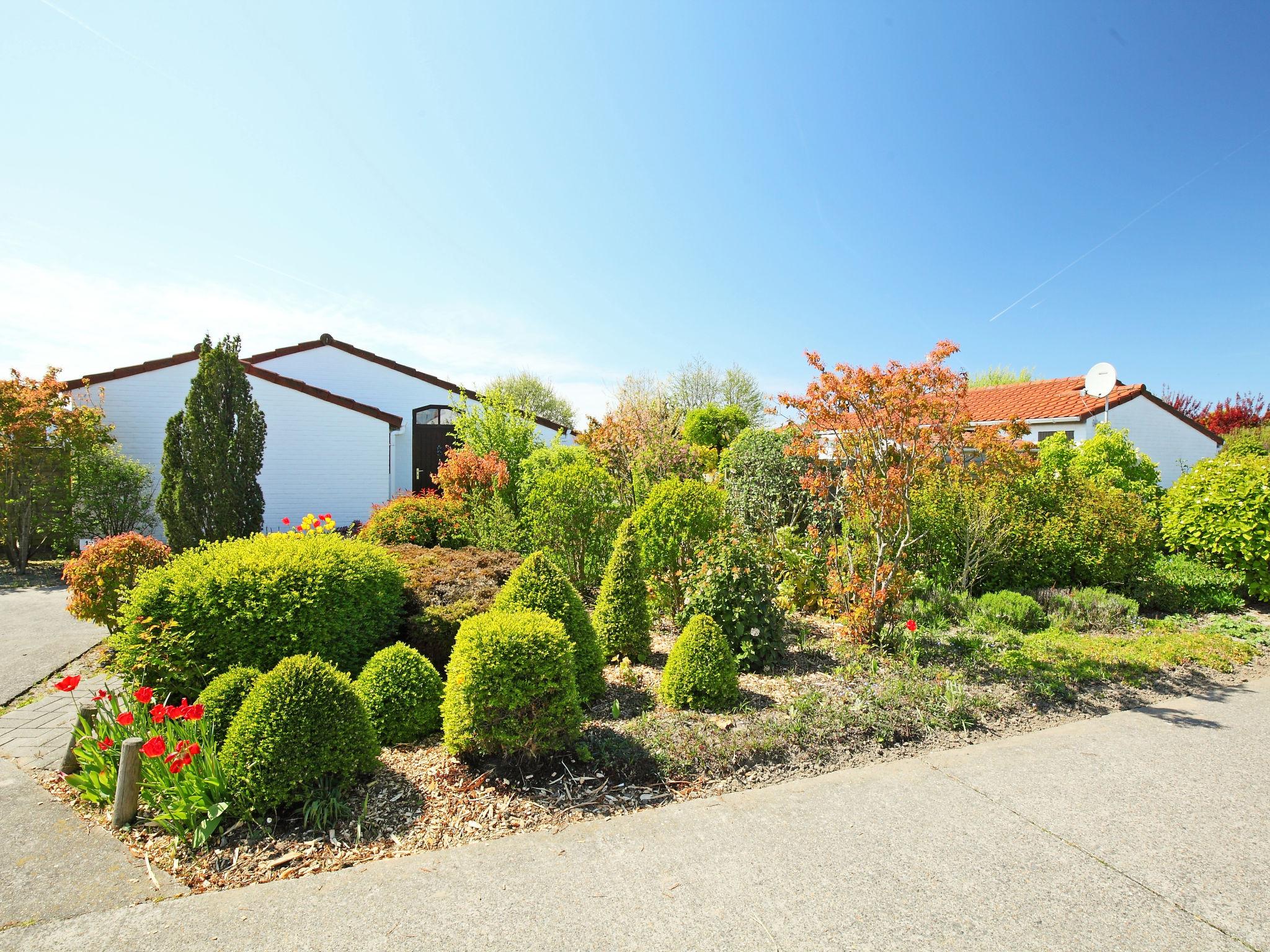 Foto 4 - Haus mit 2 Schlafzimmern in Bredene mit schwimmbad und garten