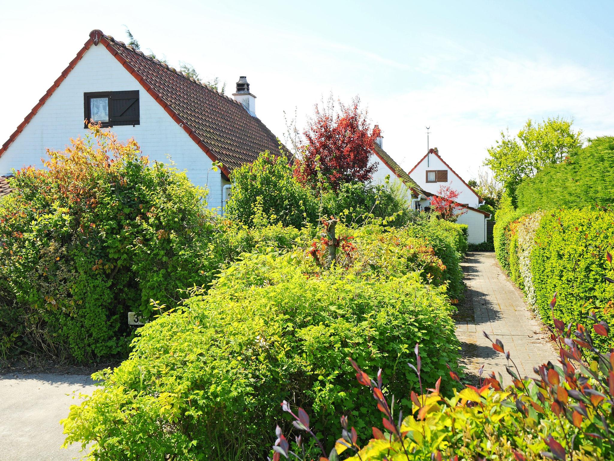 Photo 9 - 2 bedroom House in Bredene with swimming pool and sea view