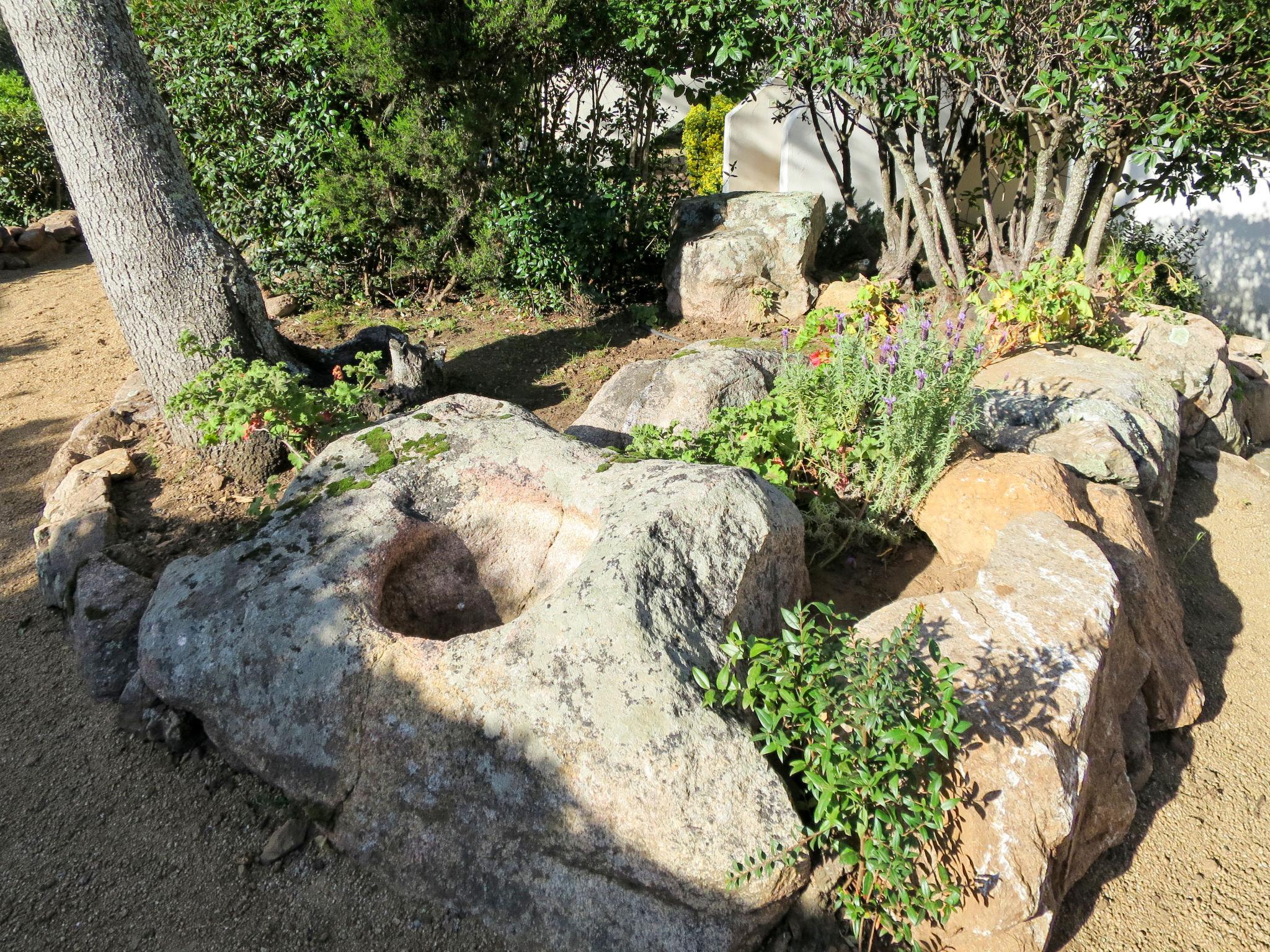 Foto 21 - Appartamento con 1 camera da letto a Porto-Vecchio con piscina e giardino