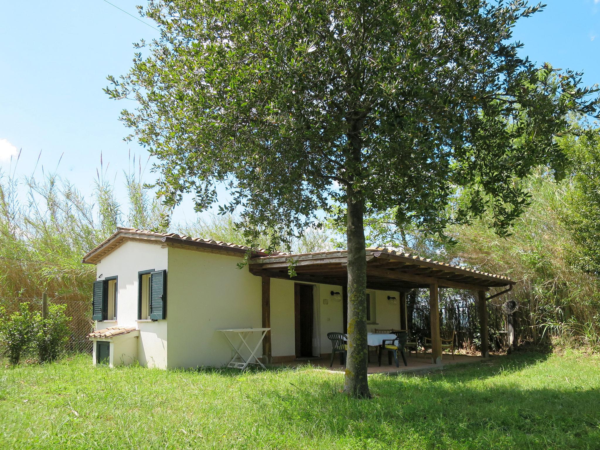 Photo 11 - Maison de 1 chambre à Bolsena avec piscine et jardin