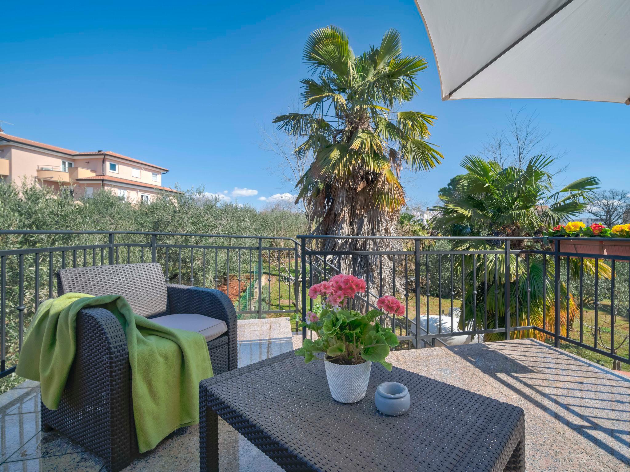 Photo 1 - 1 bedroom Apartment in Novigrad with garden and terrace