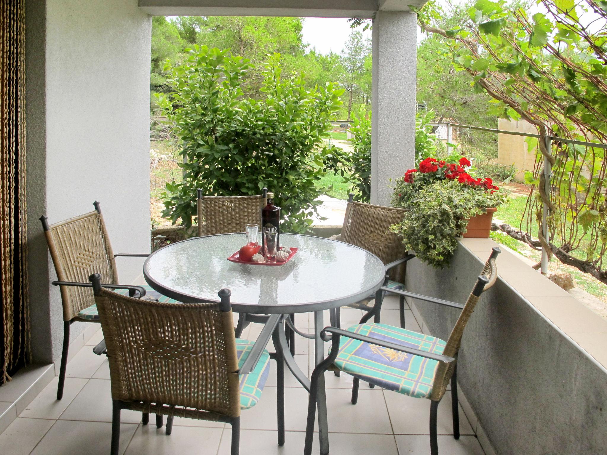 Photo 11 - 1 bedroom Apartment in Vir with swimming pool and garden