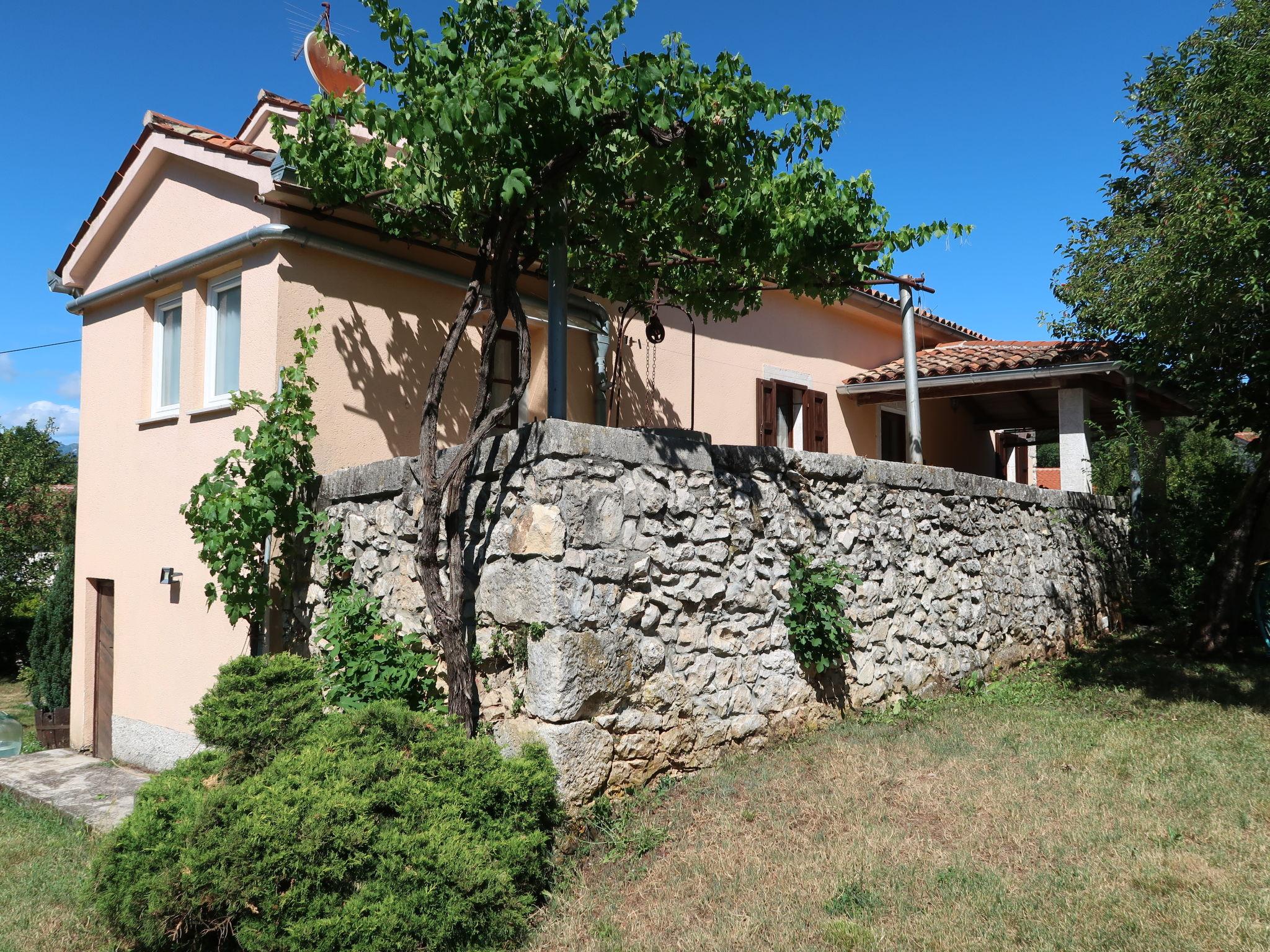 Foto 28 - Casa con 4 camere da letto a Kršan con piscina privata e vista mare