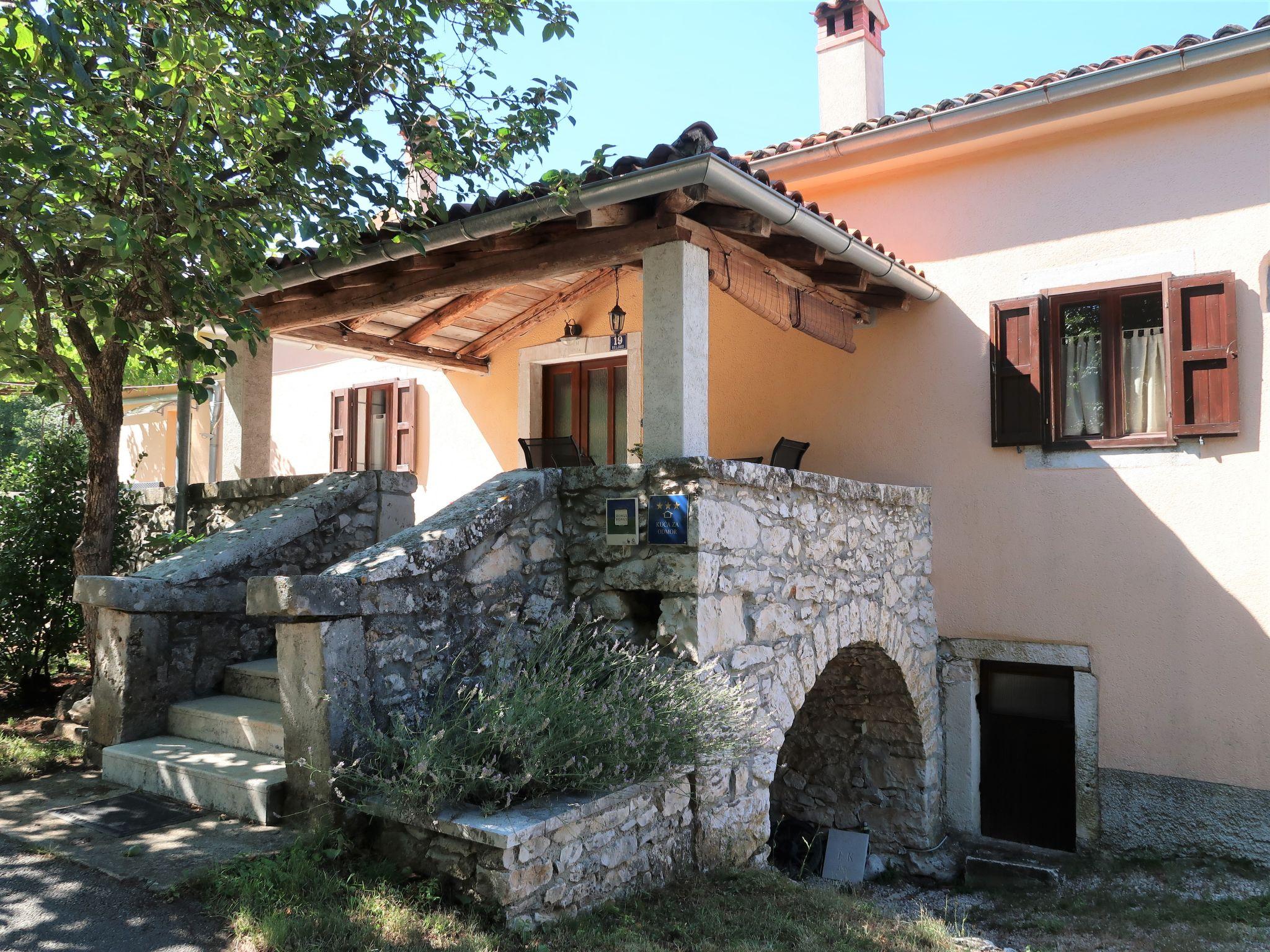 Photo 3 - Maison de 4 chambres à Kršan avec piscine privée et vues à la mer