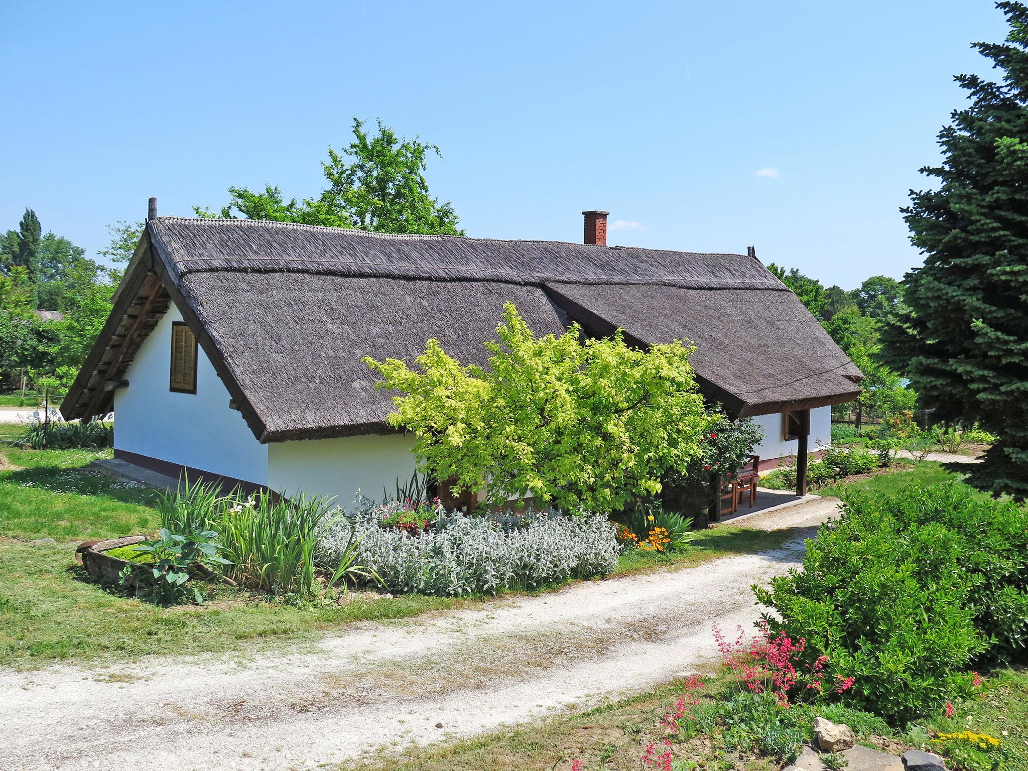 Foto 19 - Haus mit 2 Schlafzimmern in Balatongyörök mit garten und terrasse