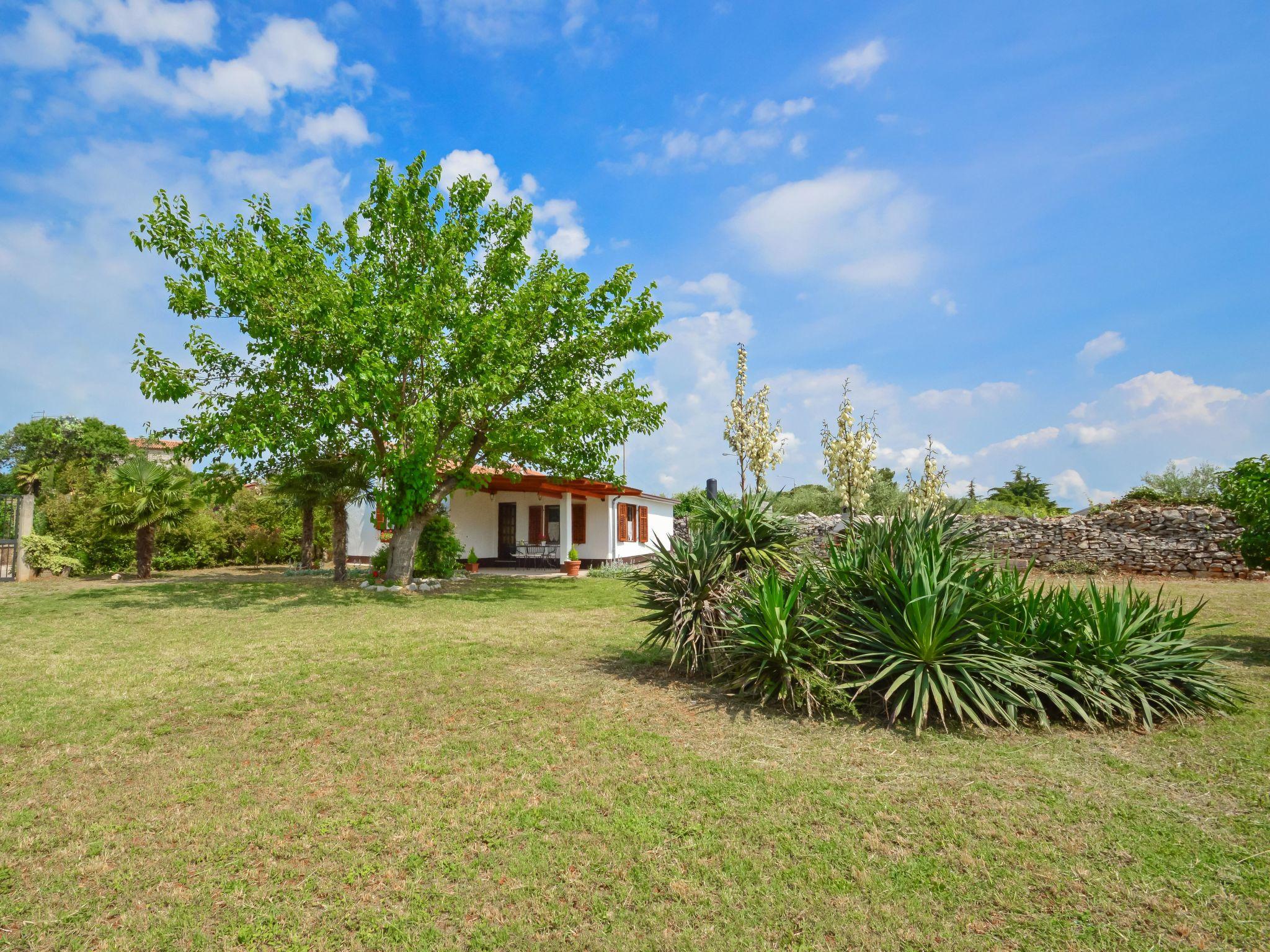 Foto 1 - Haus mit 1 Schlafzimmer in Tar-Vabriga mit garten und blick aufs meer