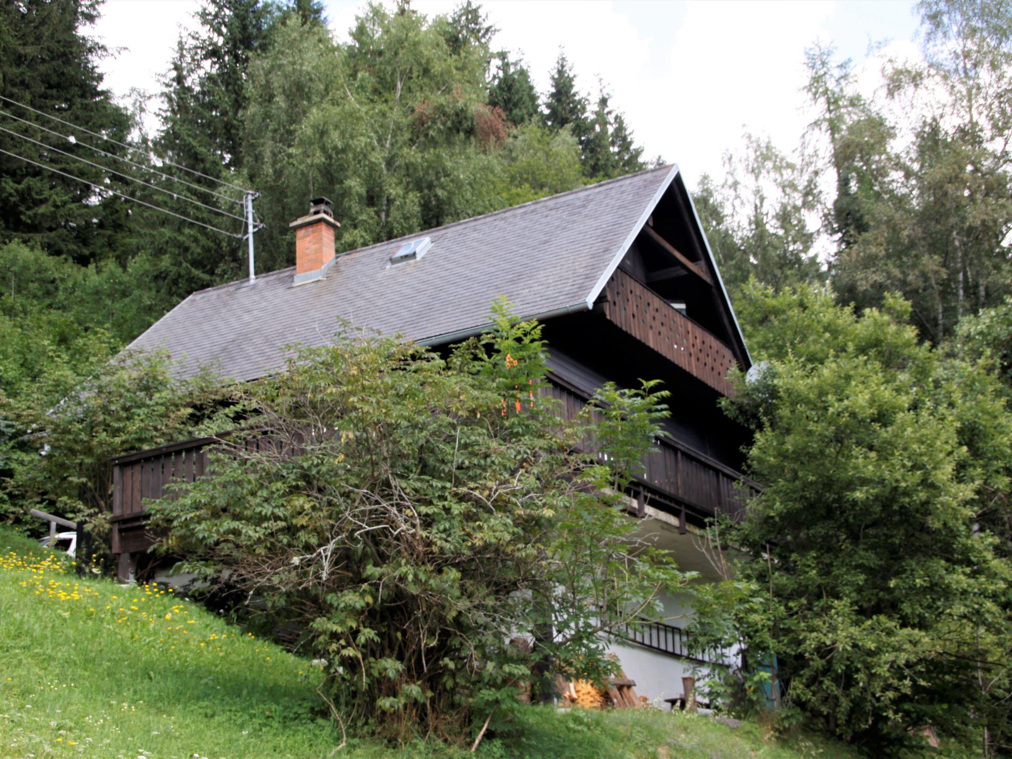 Foto 11 - Haus mit 2 Schlafzimmern in Reichenau mit terrasse und blick auf die berge