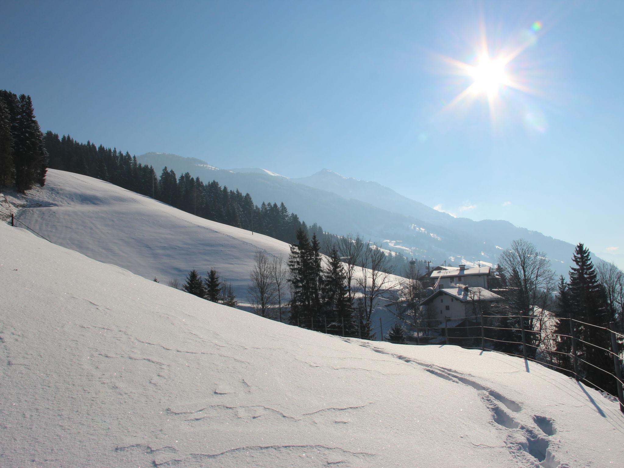 Photo 36 - 3 bedroom Apartment in Hart im Zillertal with terrace and mountain view