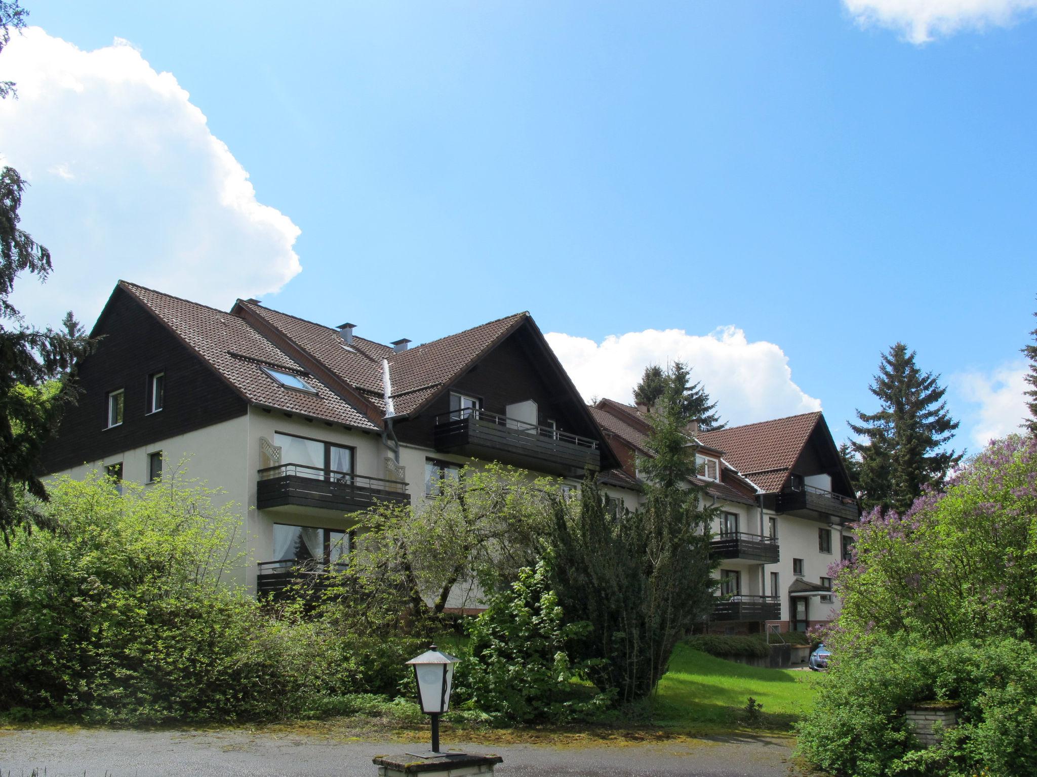 Foto 5 - Apartamento de 1 habitación en Goslar con vistas a la montaña