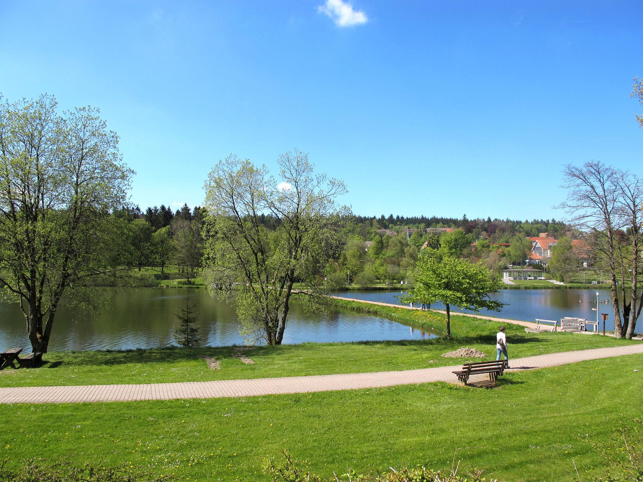 Photo 22 - 1 bedroom Apartment in Goslar with mountain view