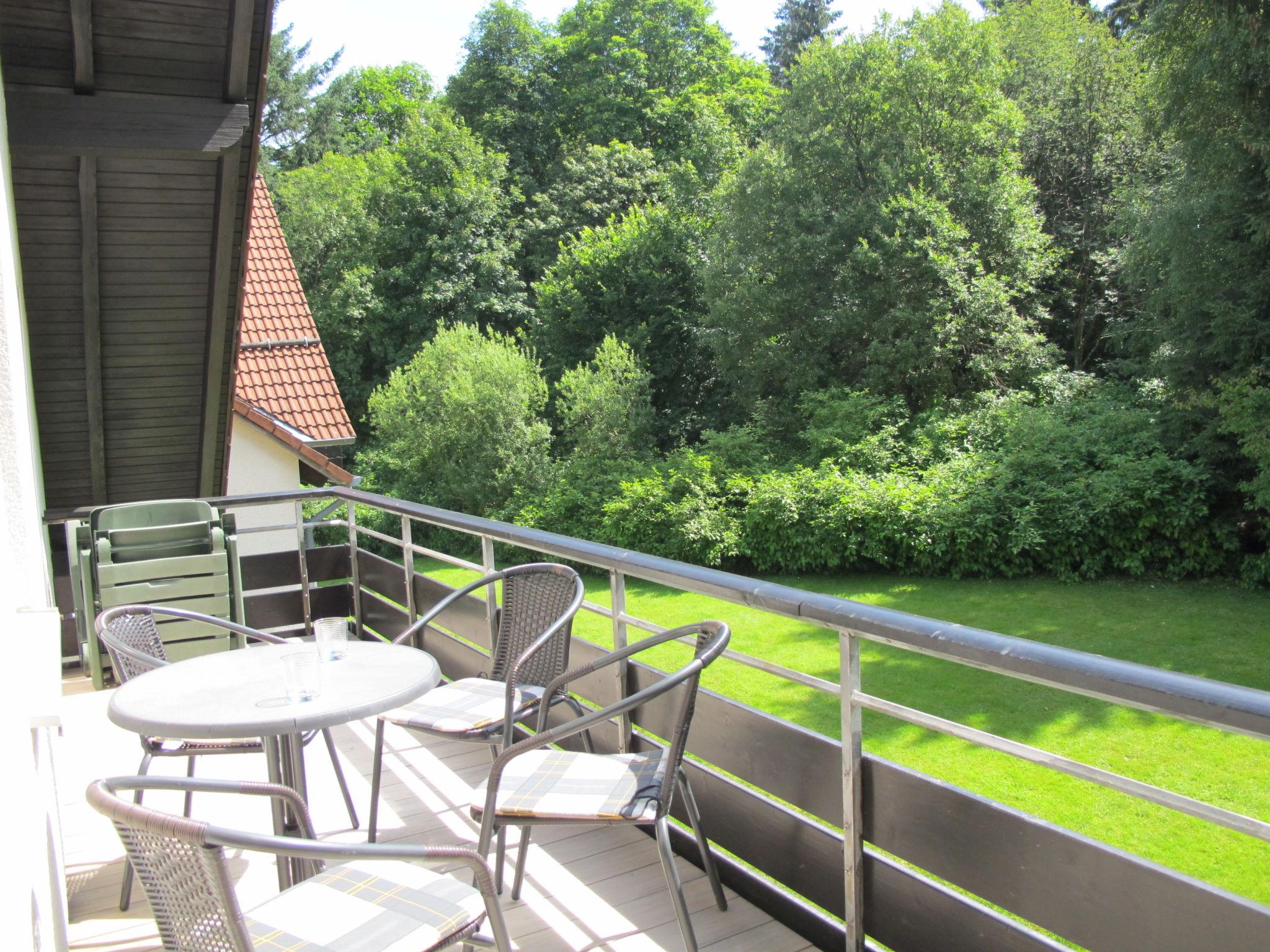 Foto 1 - Apartamento de 1 habitación en Goslar con vistas a la montaña