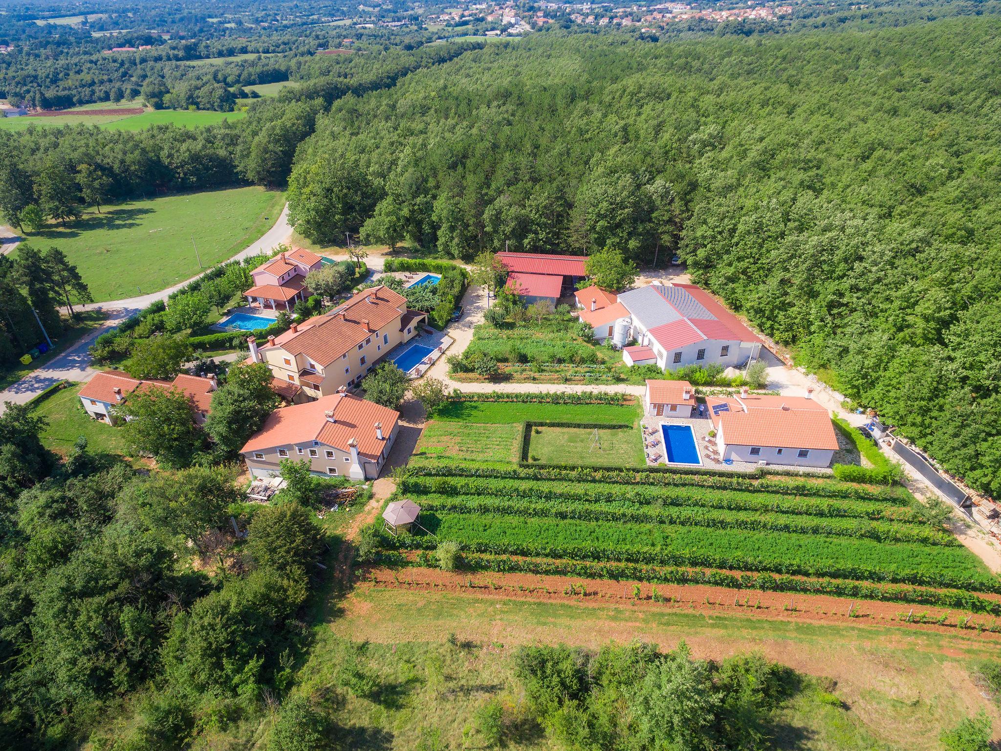 Foto 7 - Casa con 5 camere da letto a Žminj con piscina privata e vista mare