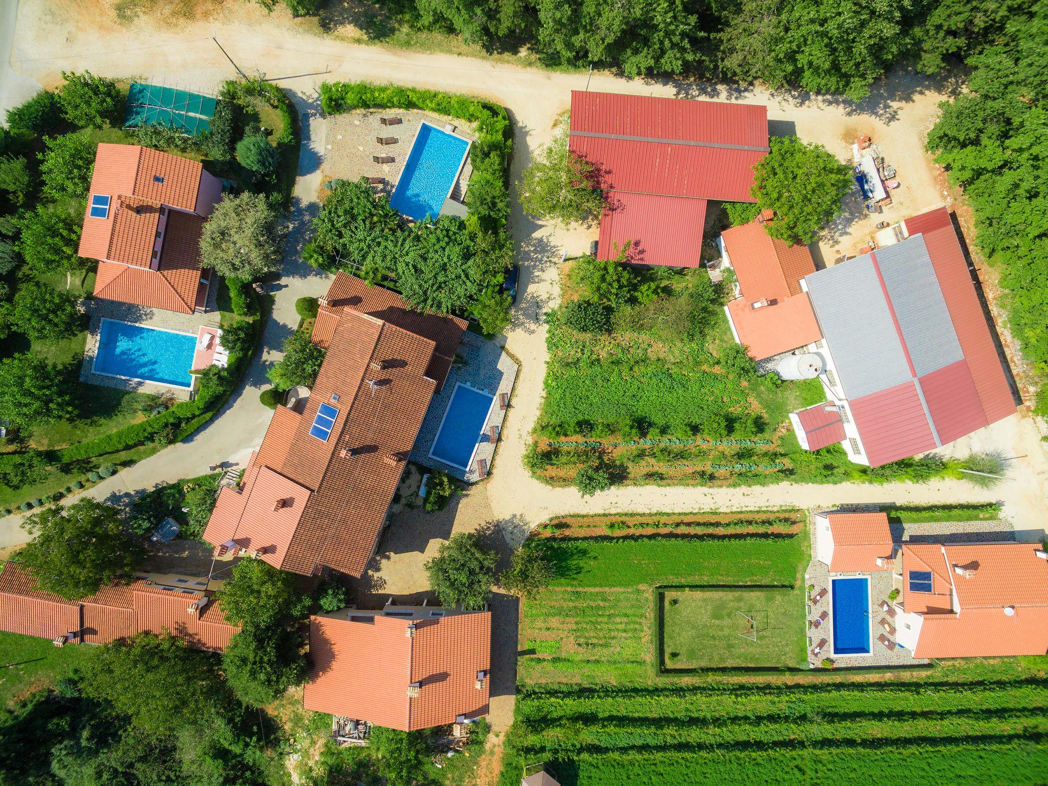 Photo 9 - Maison de 4 chambres à Žminj avec piscine privée et vues à la mer