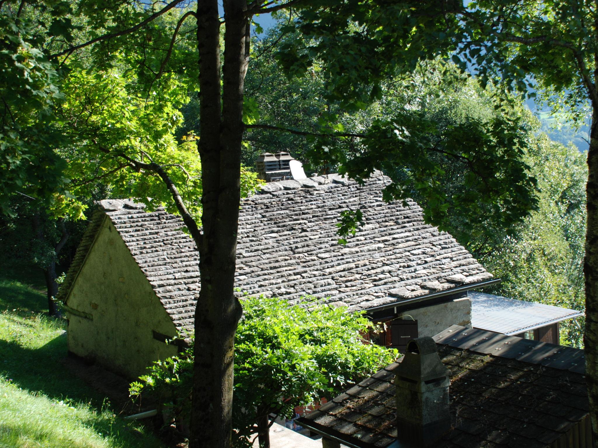 Photo 27 - Maison de 1 chambre à Acquarossa avec jardin et vues sur la montagne