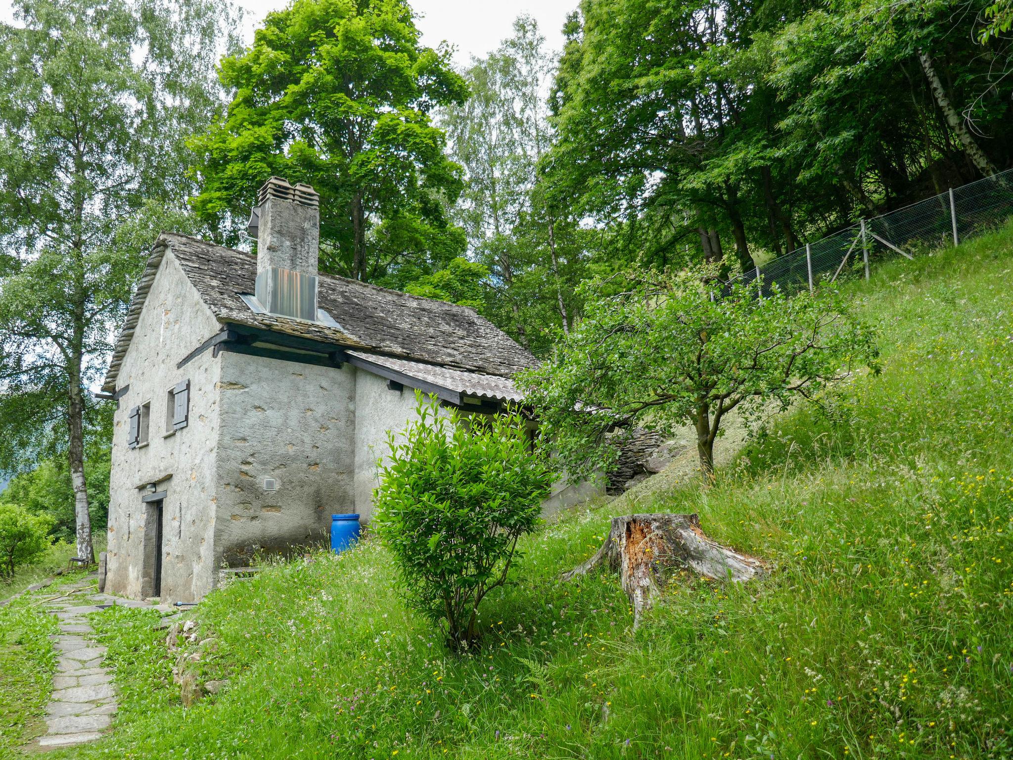 Photo 29 - Maison de 1 chambre à Acquarossa avec jardin et terrasse