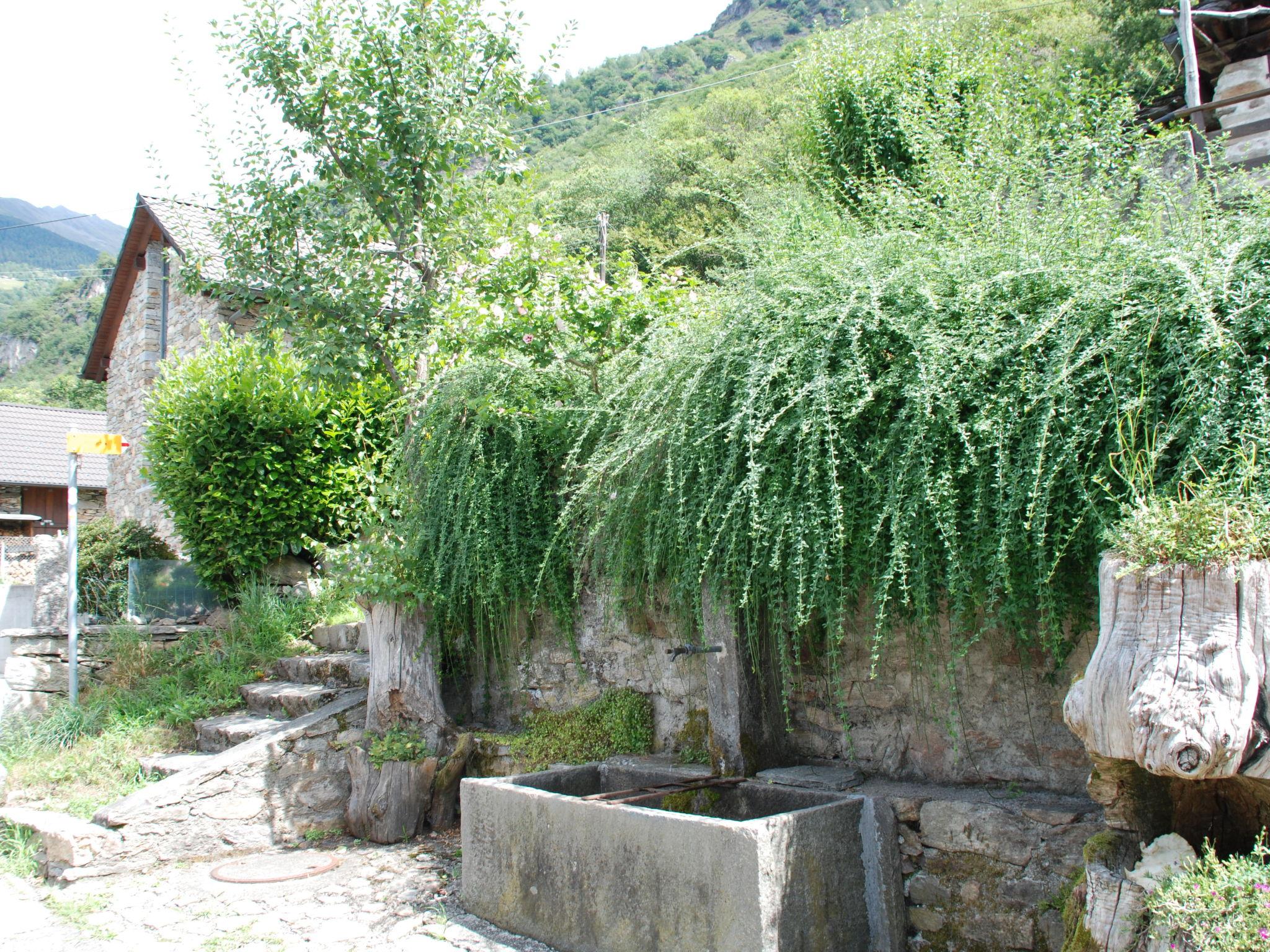 Photo 30 - Maison de 1 chambre à Serravalle avec jardin et terrasse