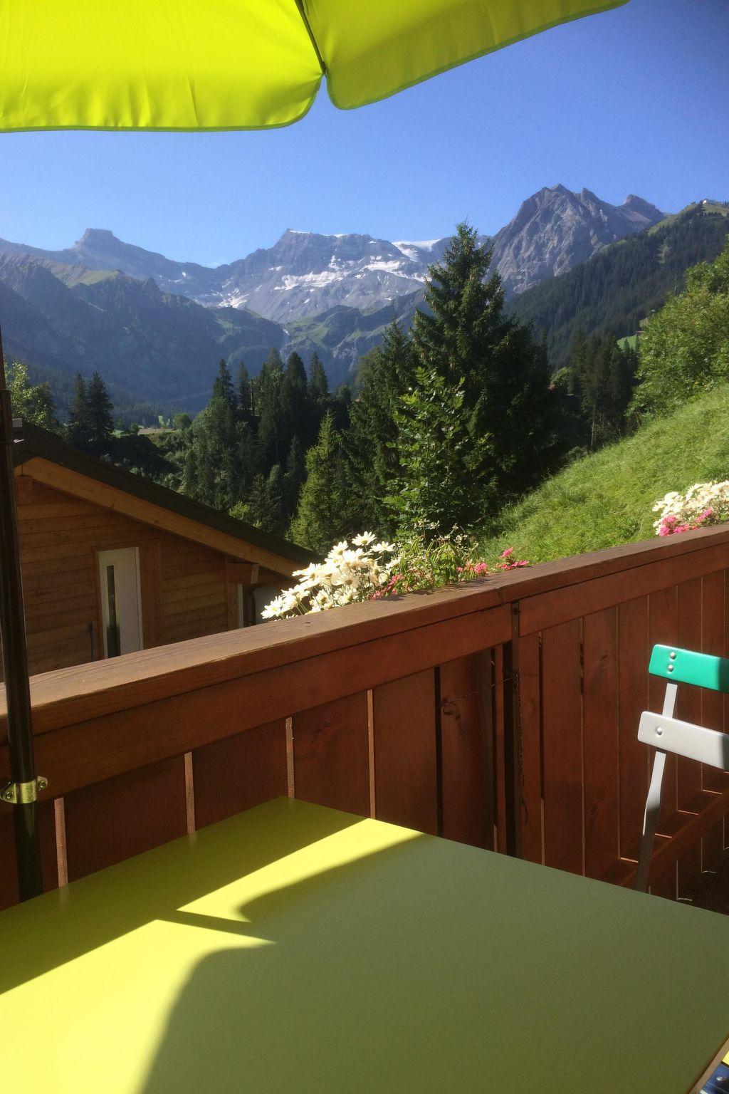 Foto 9 - Appartamento con 1 camera da letto a Adelboden