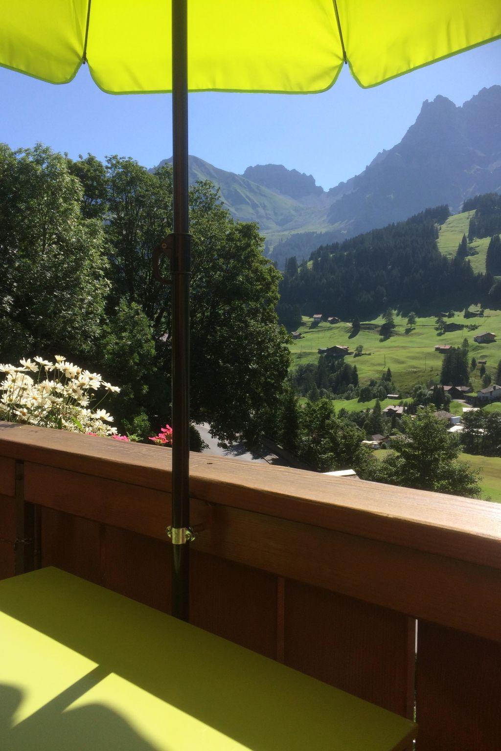 Foto 8 - Appartamento con 1 camera da letto a Adelboden