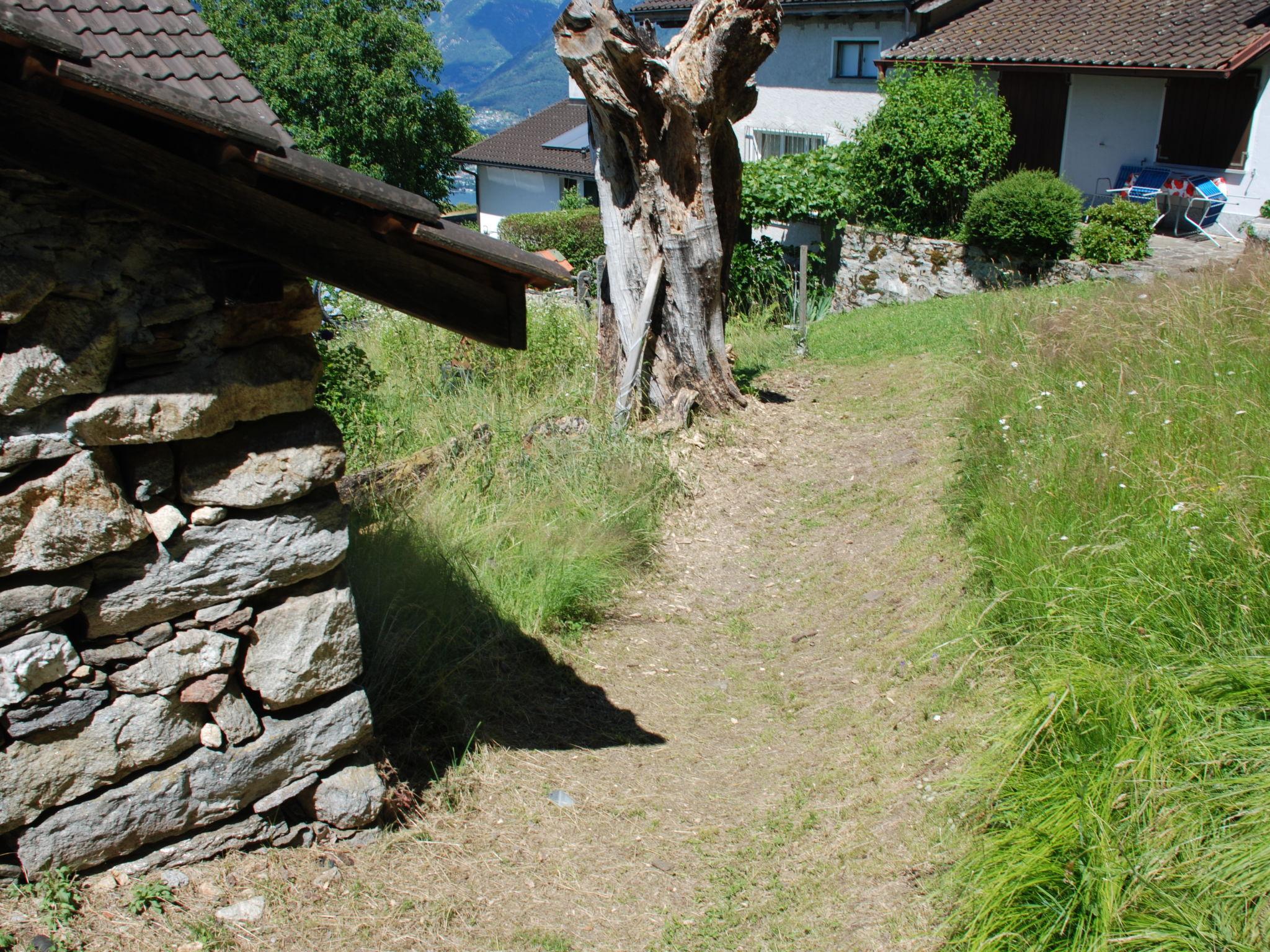 Photo 25 - Maison de 2 chambres à Gambarogno avec jardin et terrasse