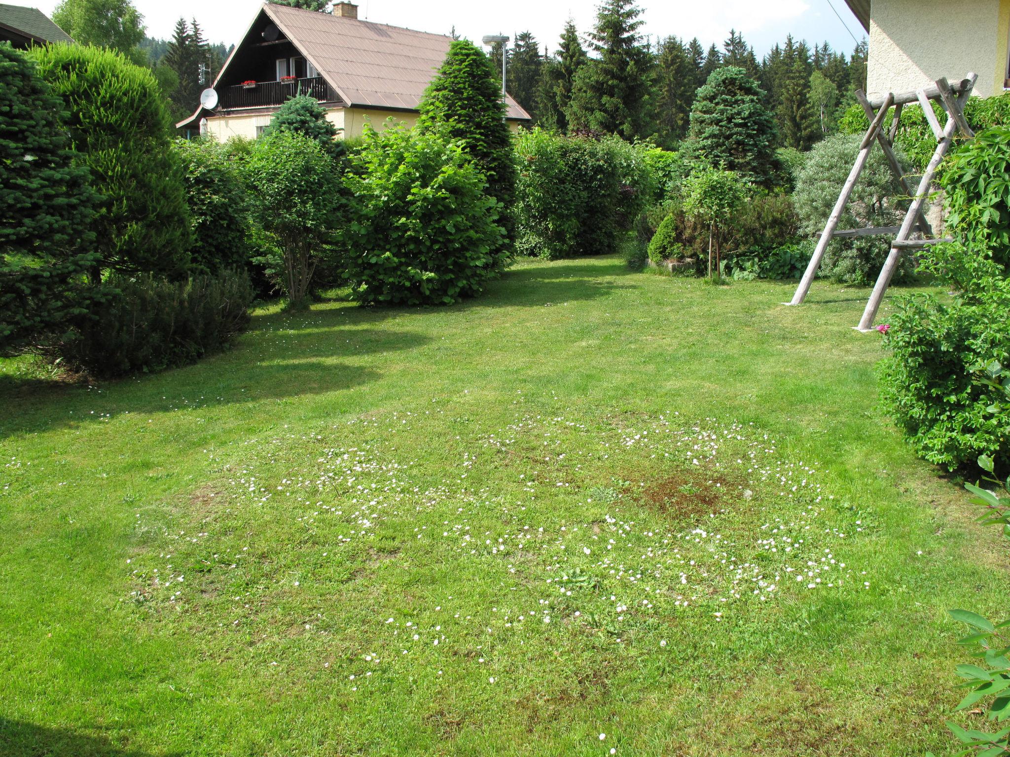 Foto 27 - Appartamento con 3 camere da letto a Harrachov con piscina privata e giardino