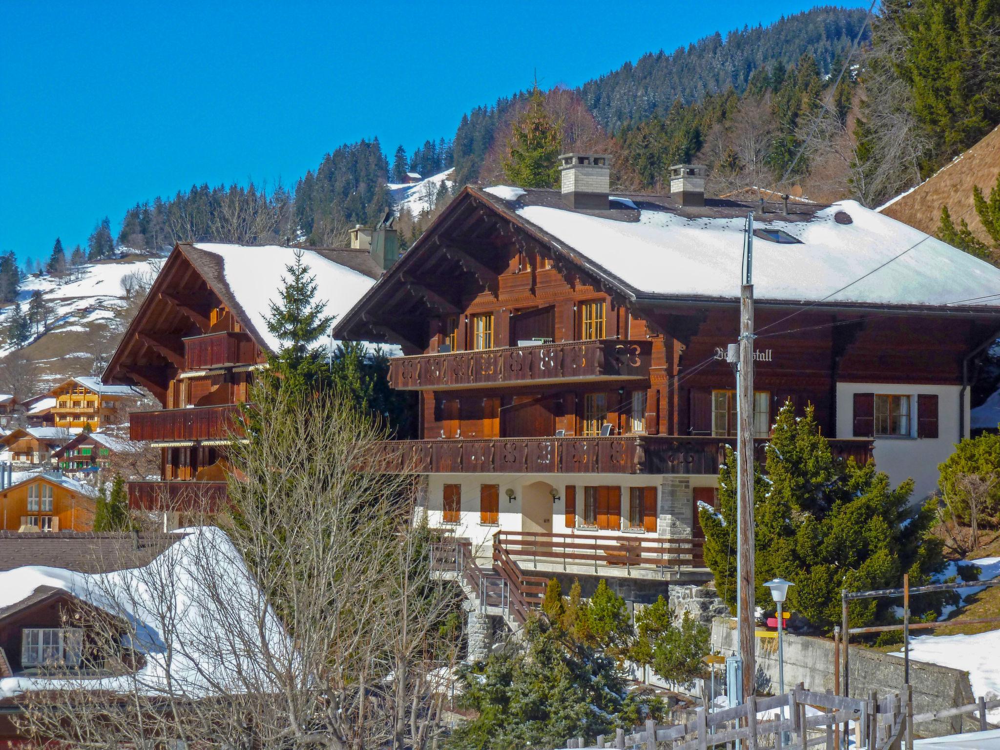 Photo 16 - 2 bedroom Apartment in Lauterbrunnen with mountain view