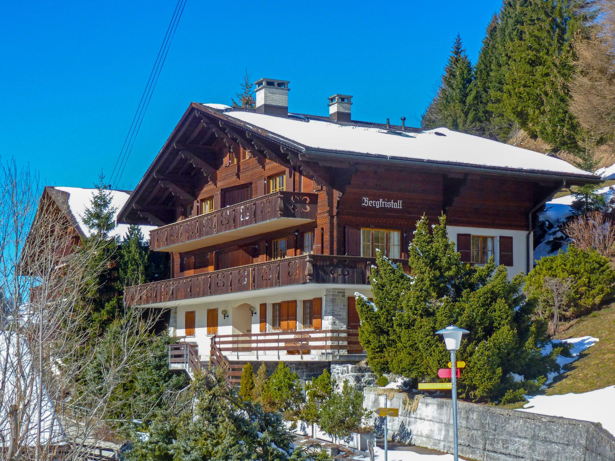 Photo 15 - Appartement de 2 chambres à Lauterbrunnen avec vues sur la montagne