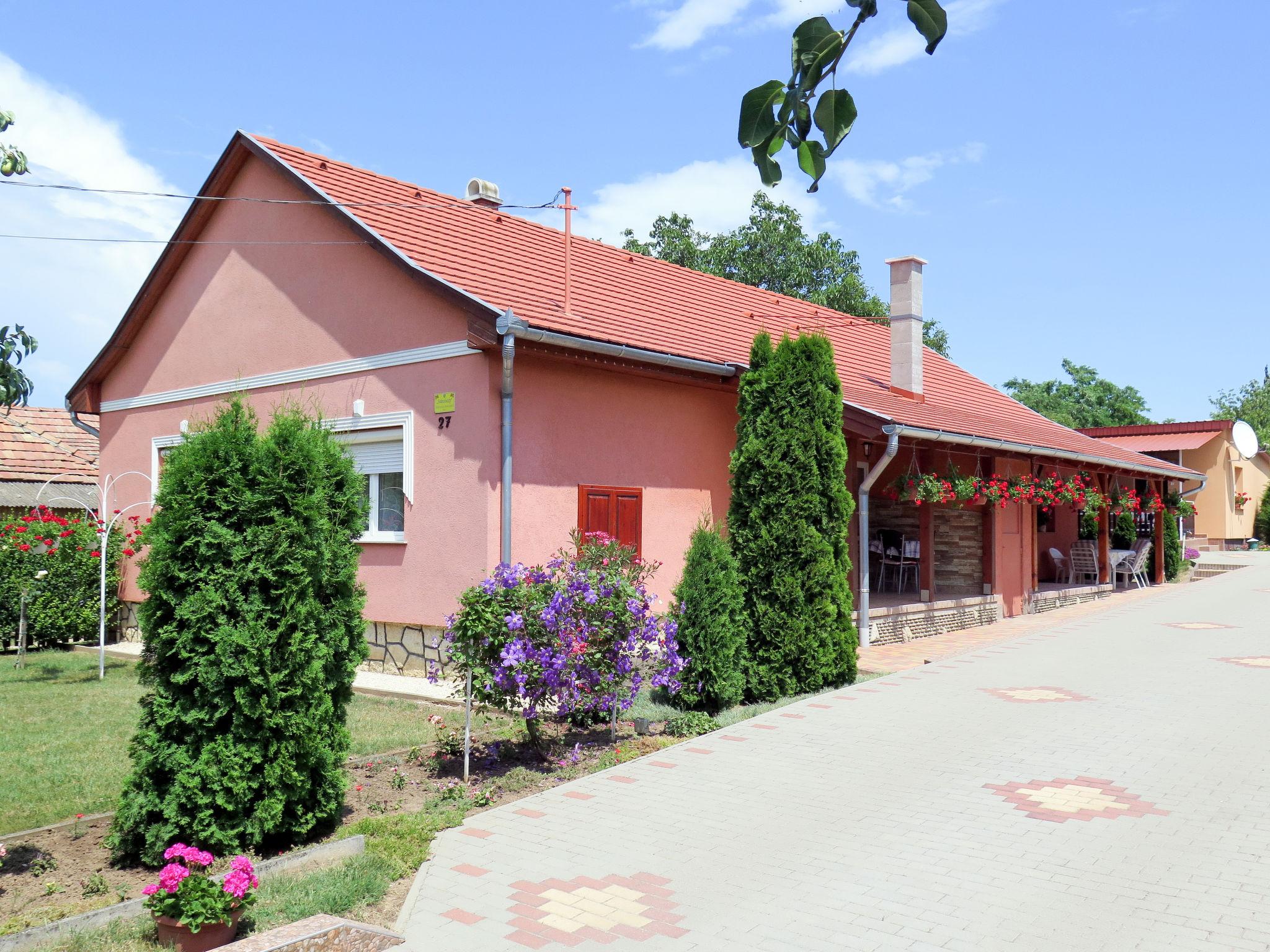 Photo 1 - Maison de 4 chambres à Balatonszárszó avec piscine privée et jardin