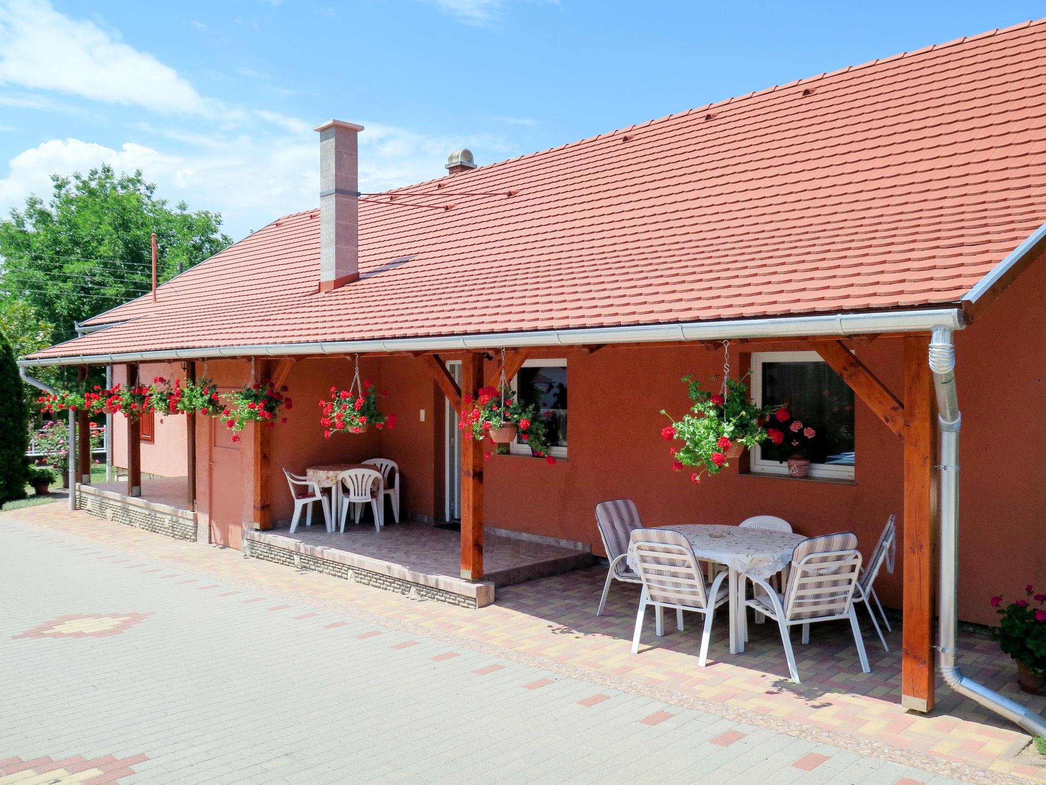 Foto 24 - Casa con 4 camere da letto a Balatonszárszó con piscina privata e vista mare