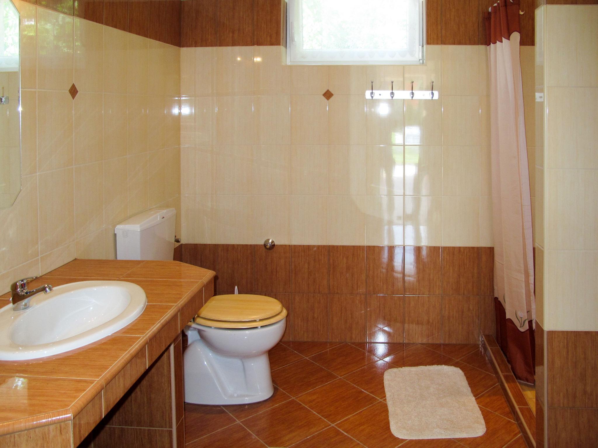 Foto 18 - Casa de 4 quartos em Balatonszárszó com piscina privada e jardim