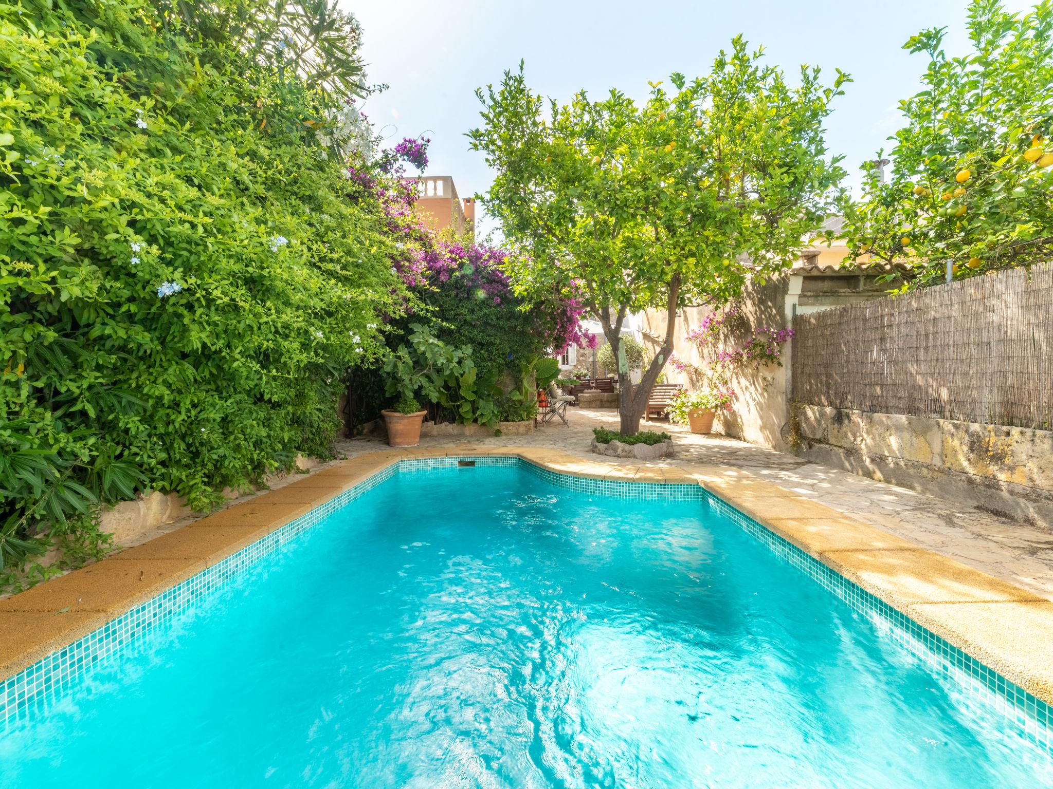 Photo 27 - Maison de 2 chambres à Campanet avec piscine privée et jardin