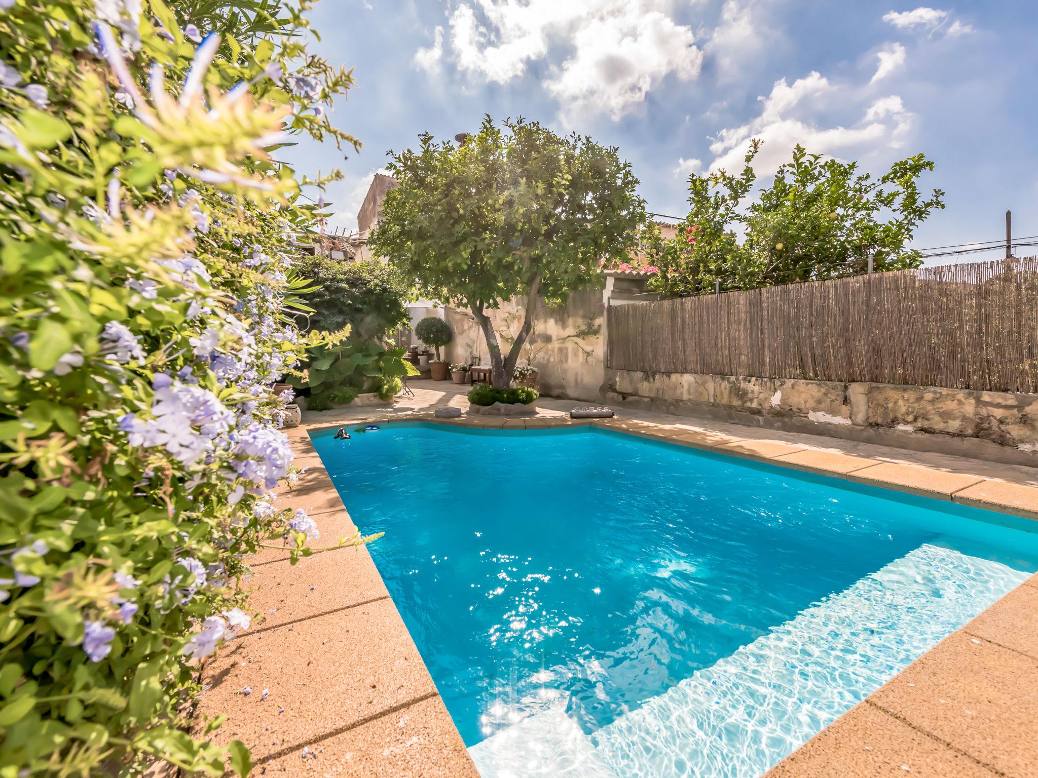 Photo 31 - Maison de 2 chambres à Campanet avec piscine privée et jardin