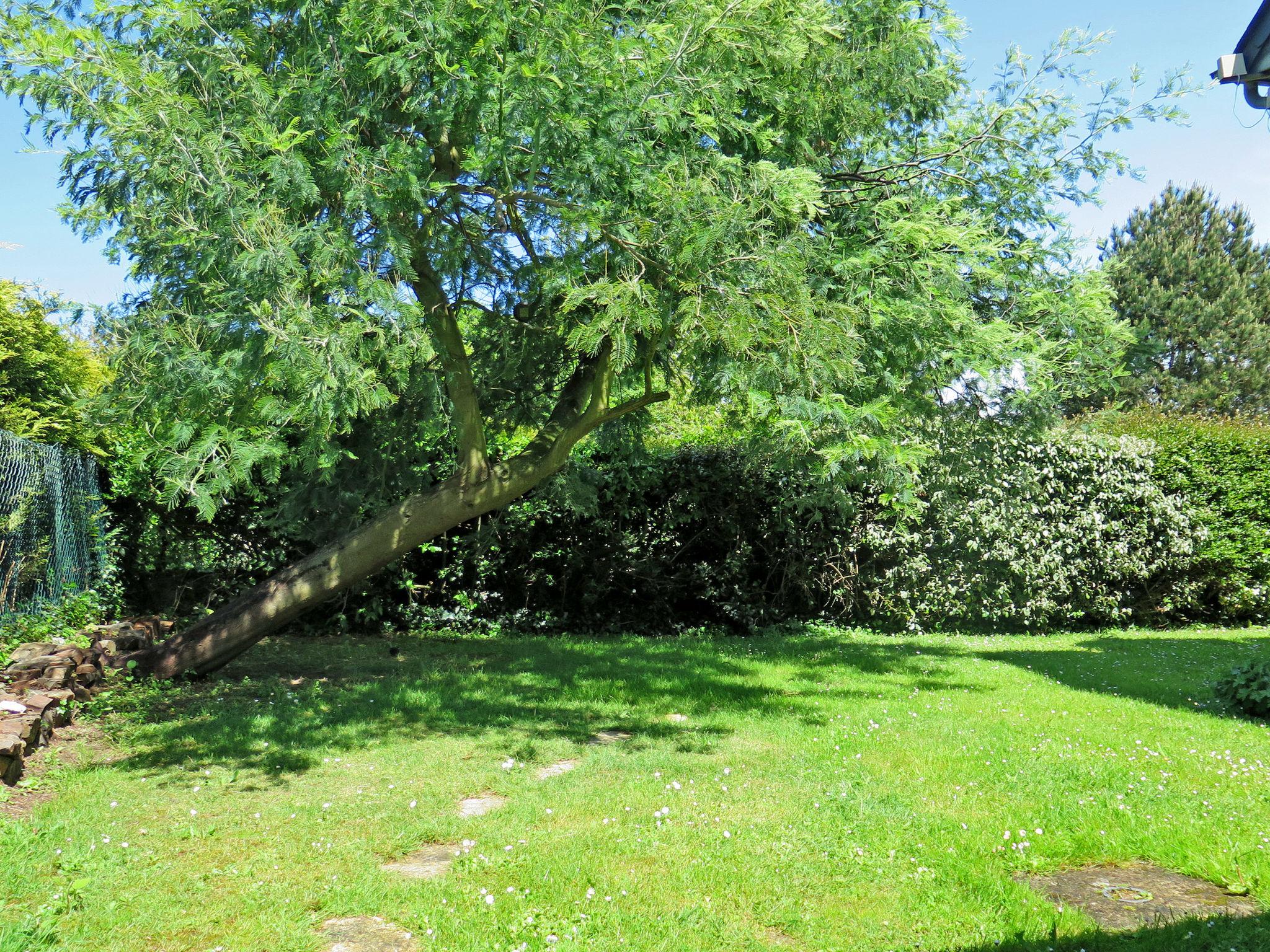 Photo 15 - Maison de 1 chambre à Cancale avec jardin et terrasse