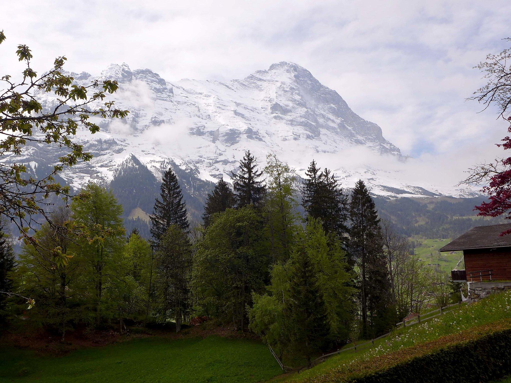 Foto 17 - Apartamento de 1 habitación en Grindelwald con terraza y vistas a la montaña