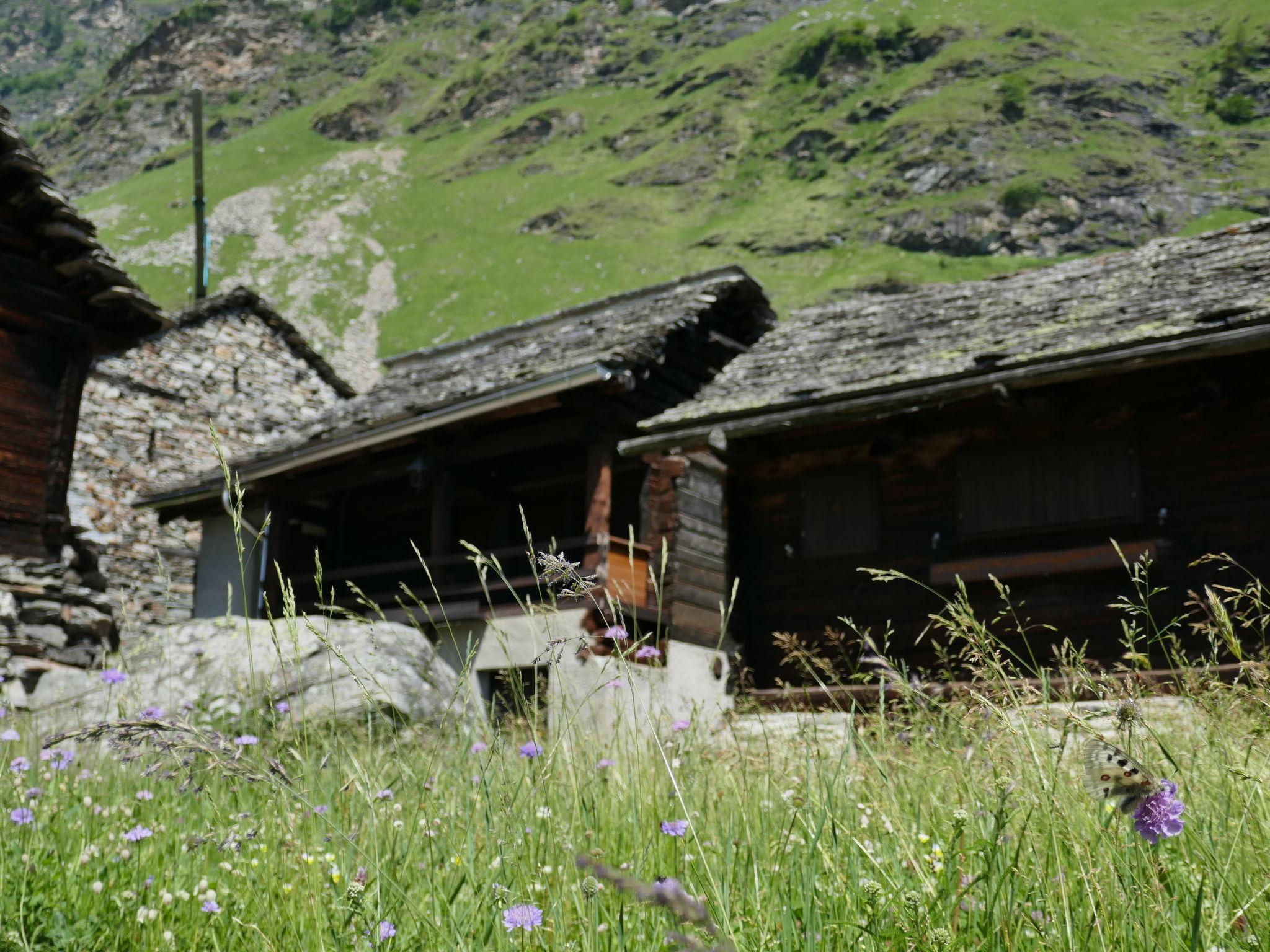 Photo 33 - Maison de 2 chambres à Serravalle avec jardin et vues sur la montagne