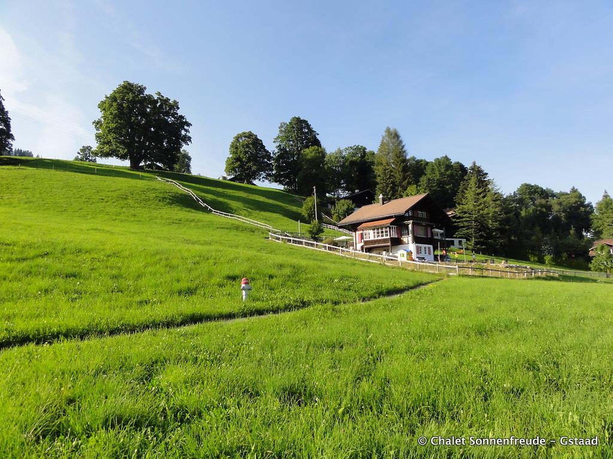 Photo 2 - 4 bedroom Apartment in Saanen