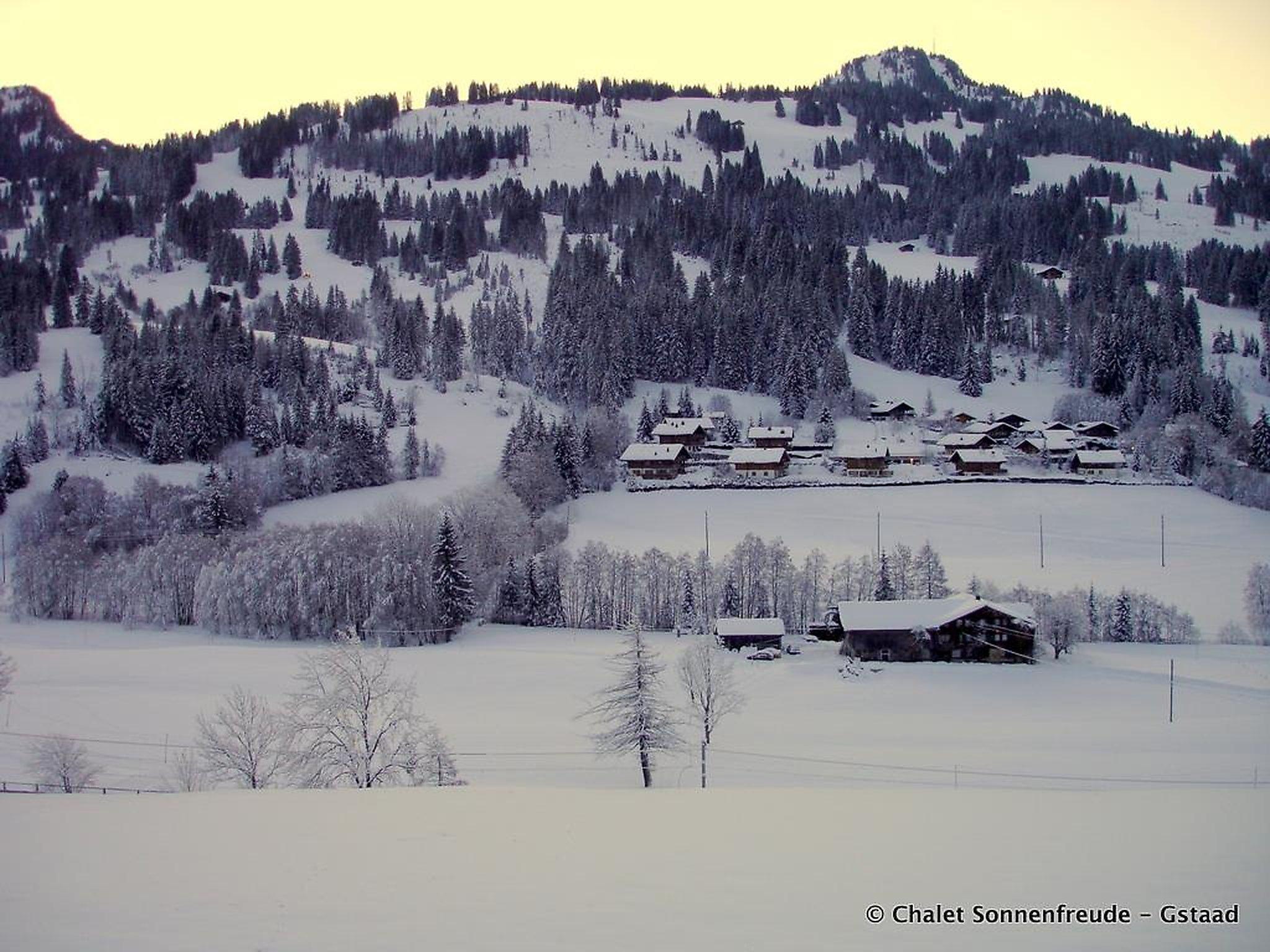 Photo 9 - 4 bedroom Apartment in Saanen