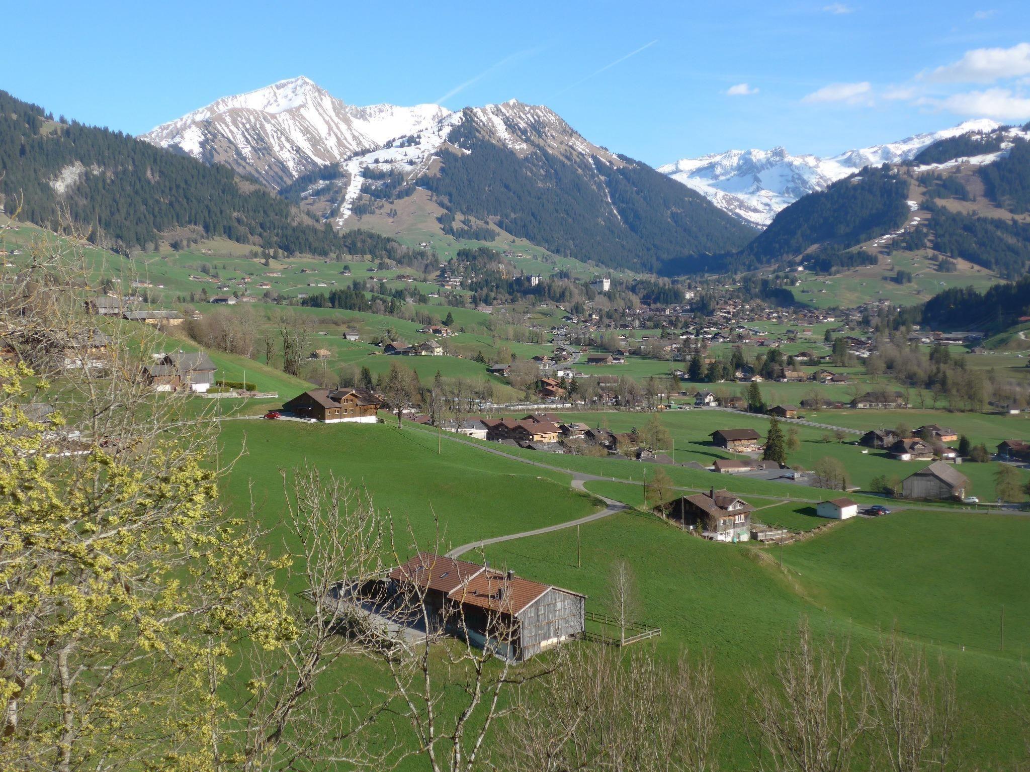 Photo 10 - 2 bedroom Apartment in Saanen