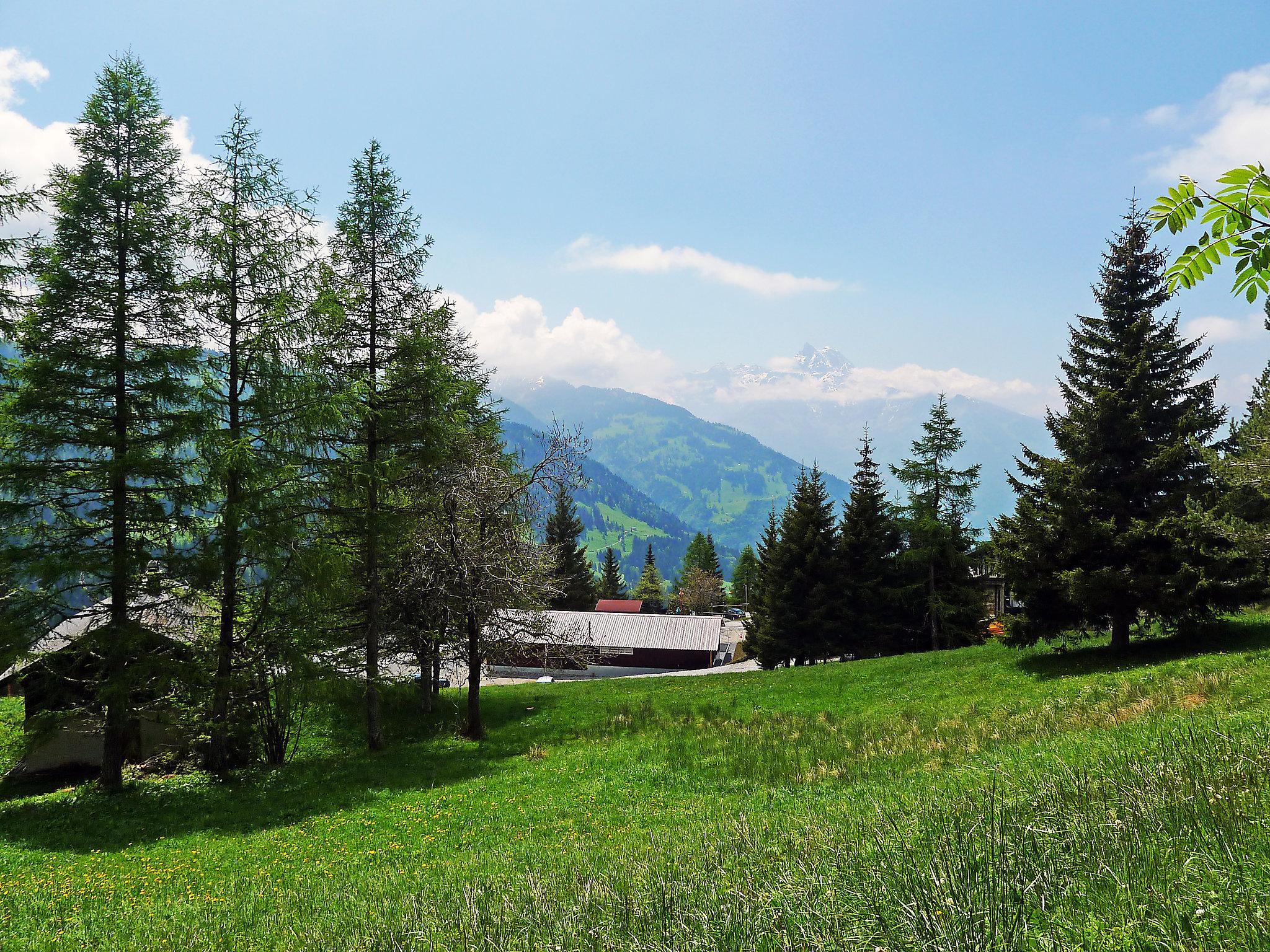 Photo 2 - Appartement en Gryon avec terrasse et vues sur la montagne