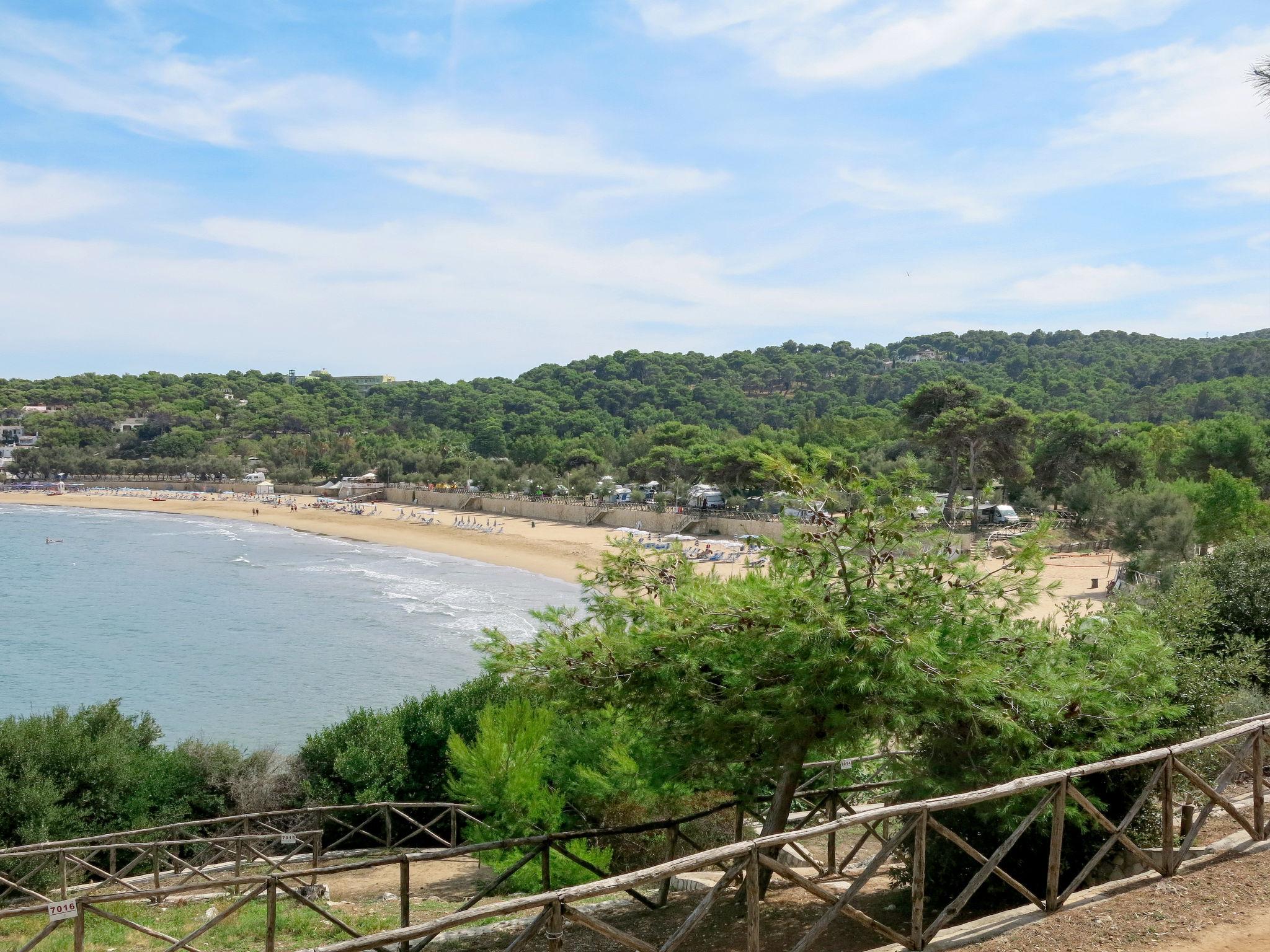 Photo 28 - Maison de 2 chambres à Peschici avec piscine et vues à la mer