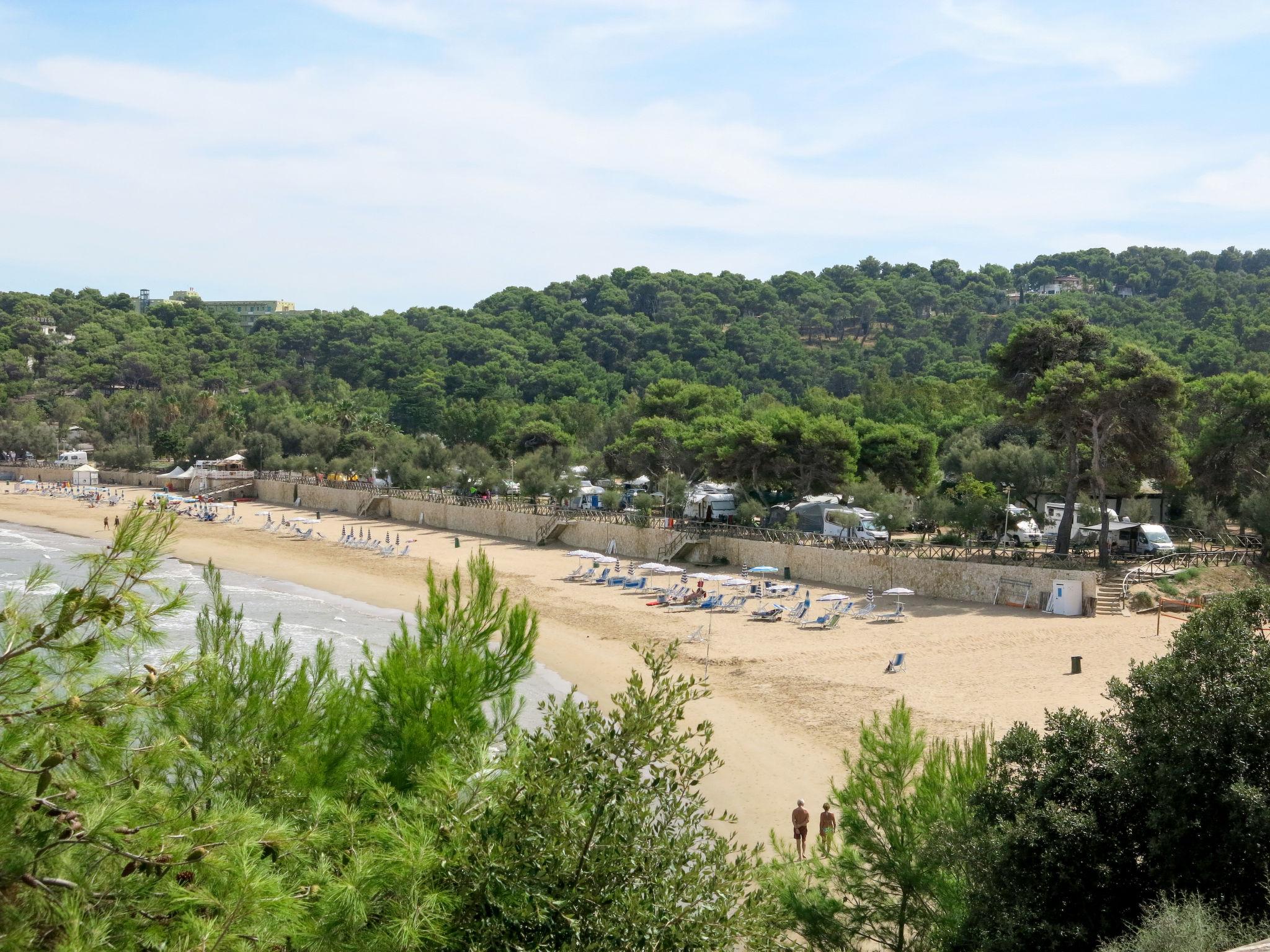 Photo 29 - Maison de 2 chambres à Peschici avec piscine et vues à la mer