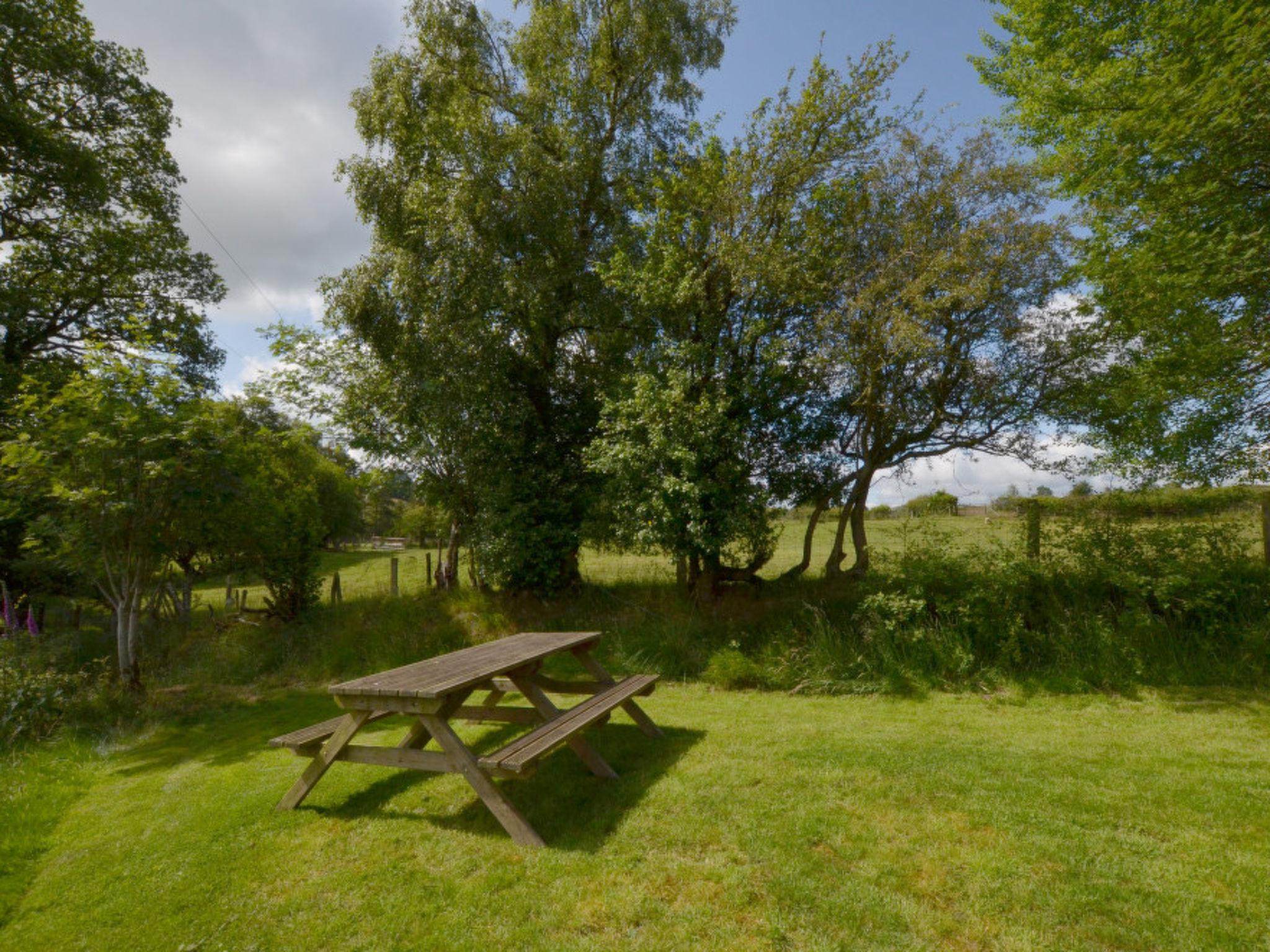 Photo 9 - 2 bedroom House in Llandrindod Wells with garden and hot tub