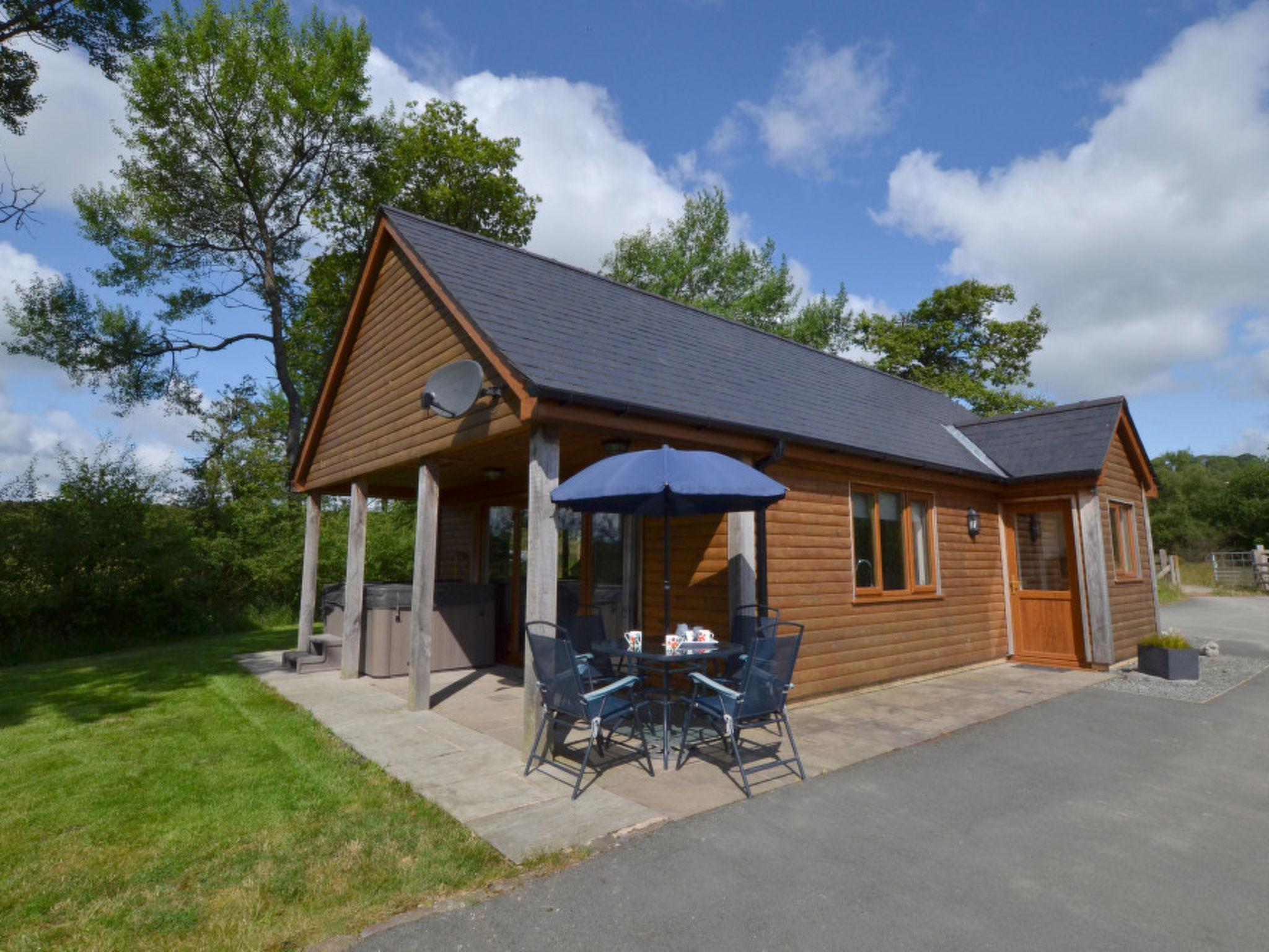 Photo 7 - 2 bedroom House in Llandrindod Wells with garden and hot tub