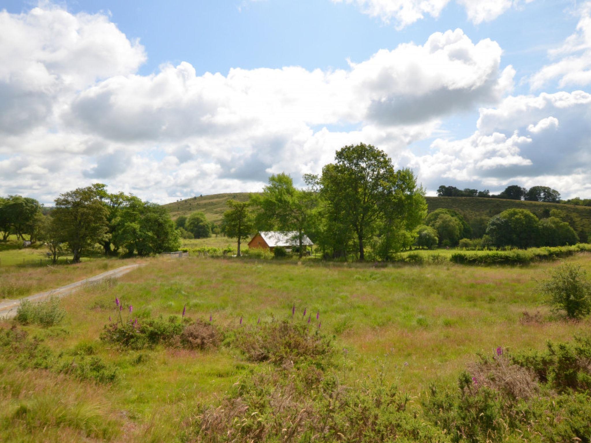 Photo 21 - 2 bedroom House in Llandrindod Wells with garden and hot tub