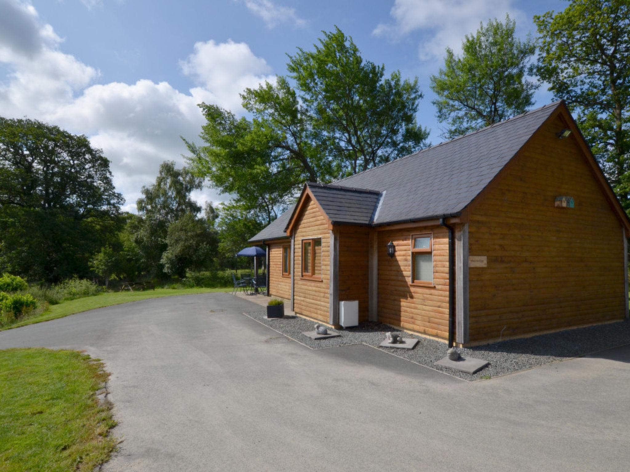 Foto 5 - Casa de 2 habitaciones en Llandrindod Wells con jardín y bañera de hidromasaje