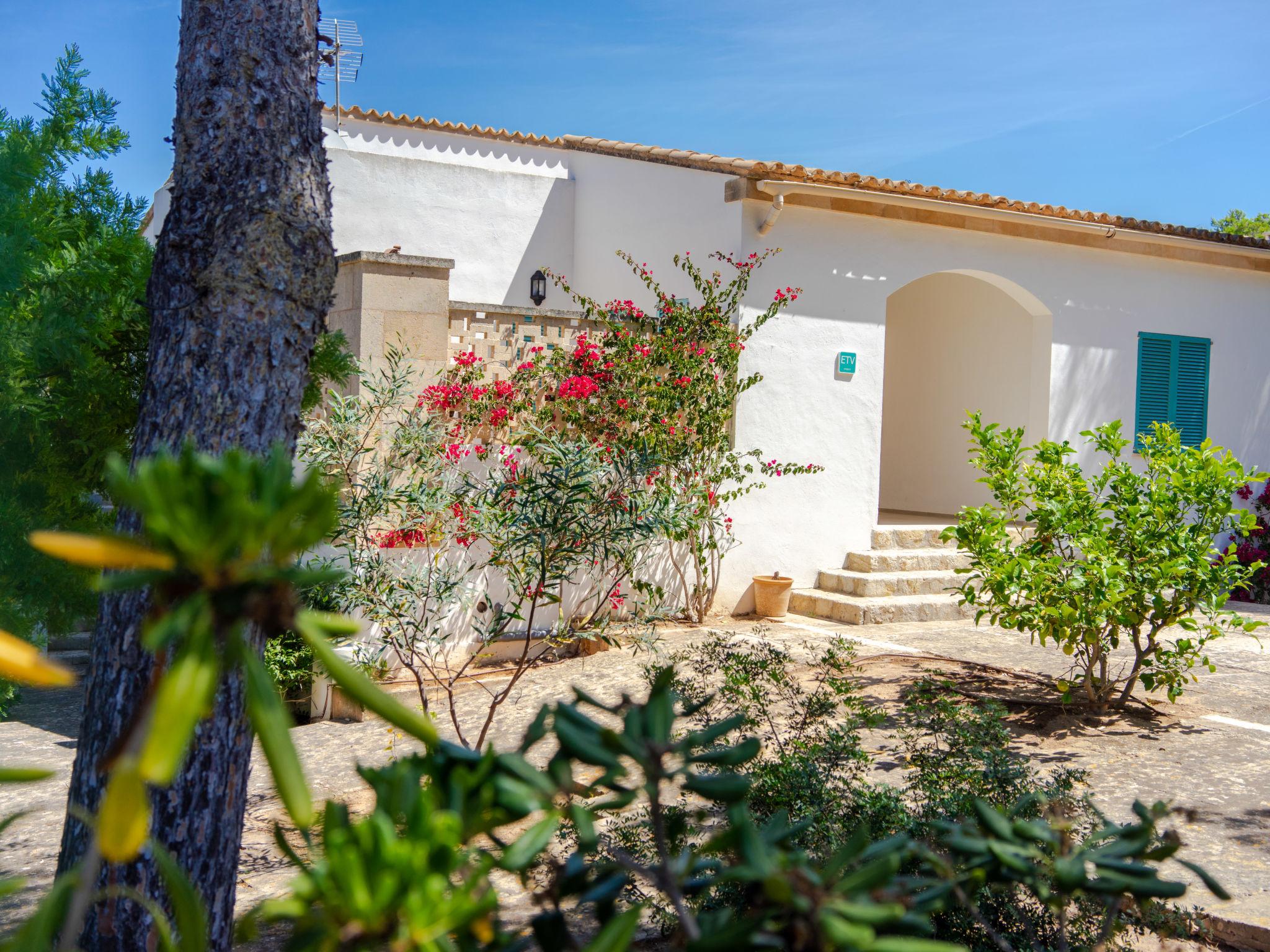 Photo 39 - Maison de 4 chambres à Llucmajor avec piscine privée et jardin