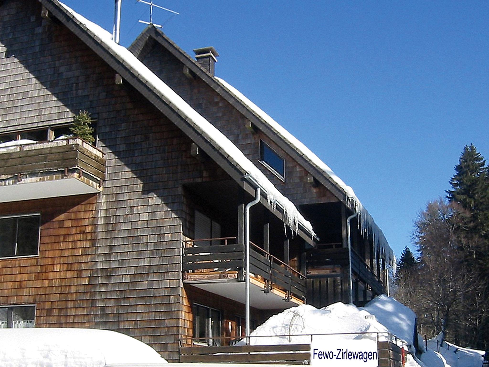 Photo 14 - Appartement de 2 chambres à Feldberg (Schwarzwald) avec vues sur la montagne