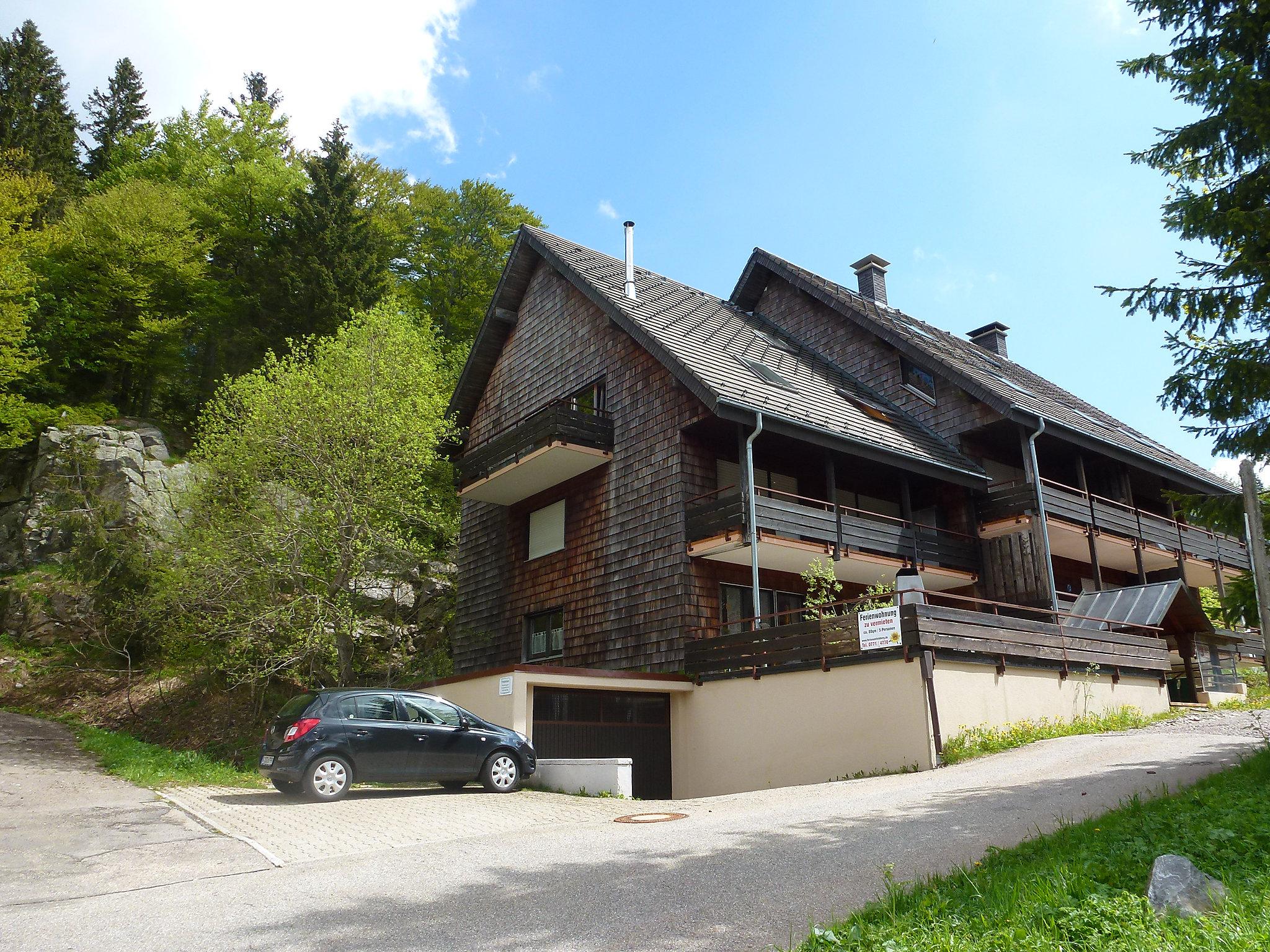 Foto 1 - Appartamento con 2 camere da letto a Feldberg (Schwarzwald) con vista sulle montagne